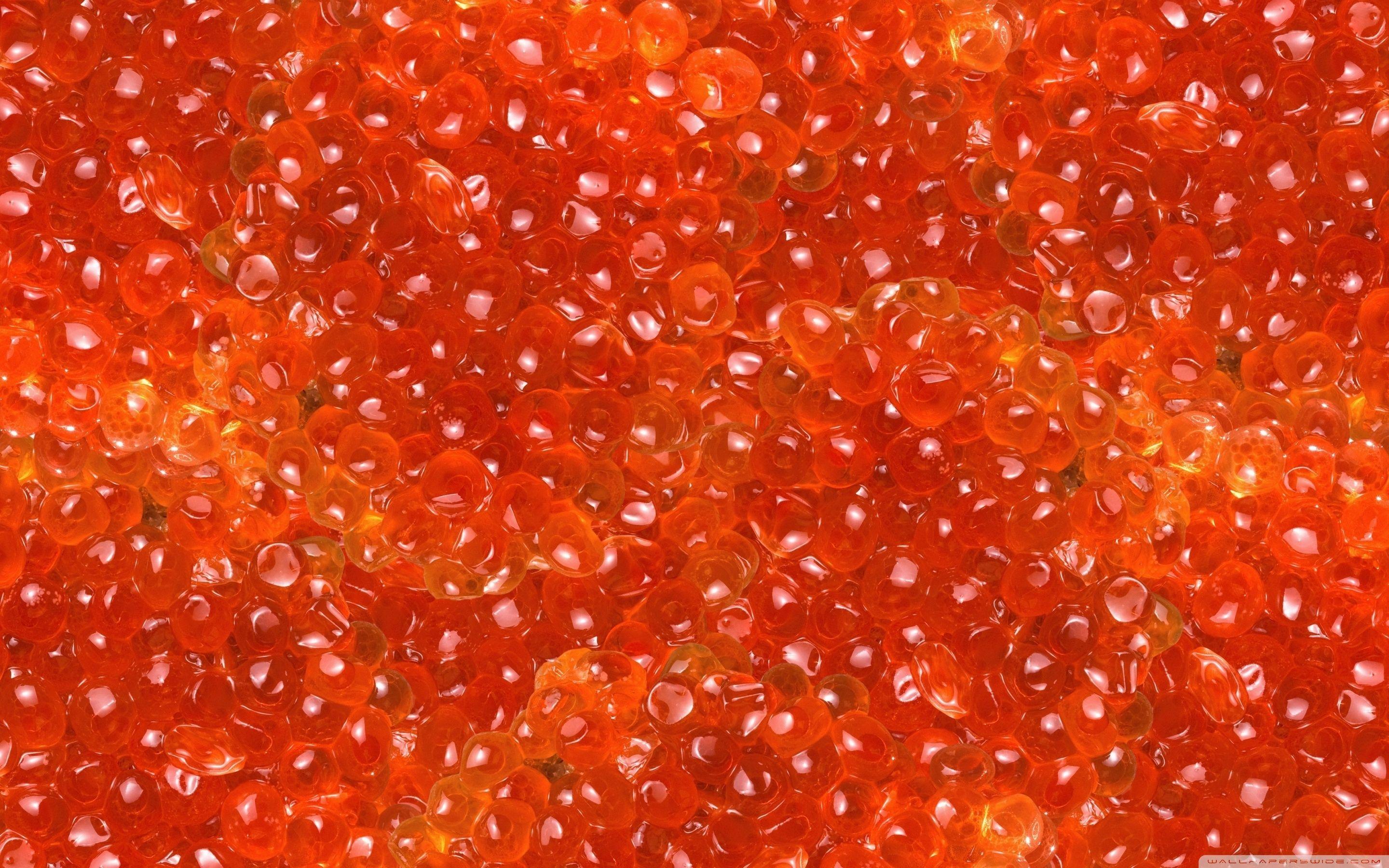 Caviar Wallpapers Wallpaper Cave