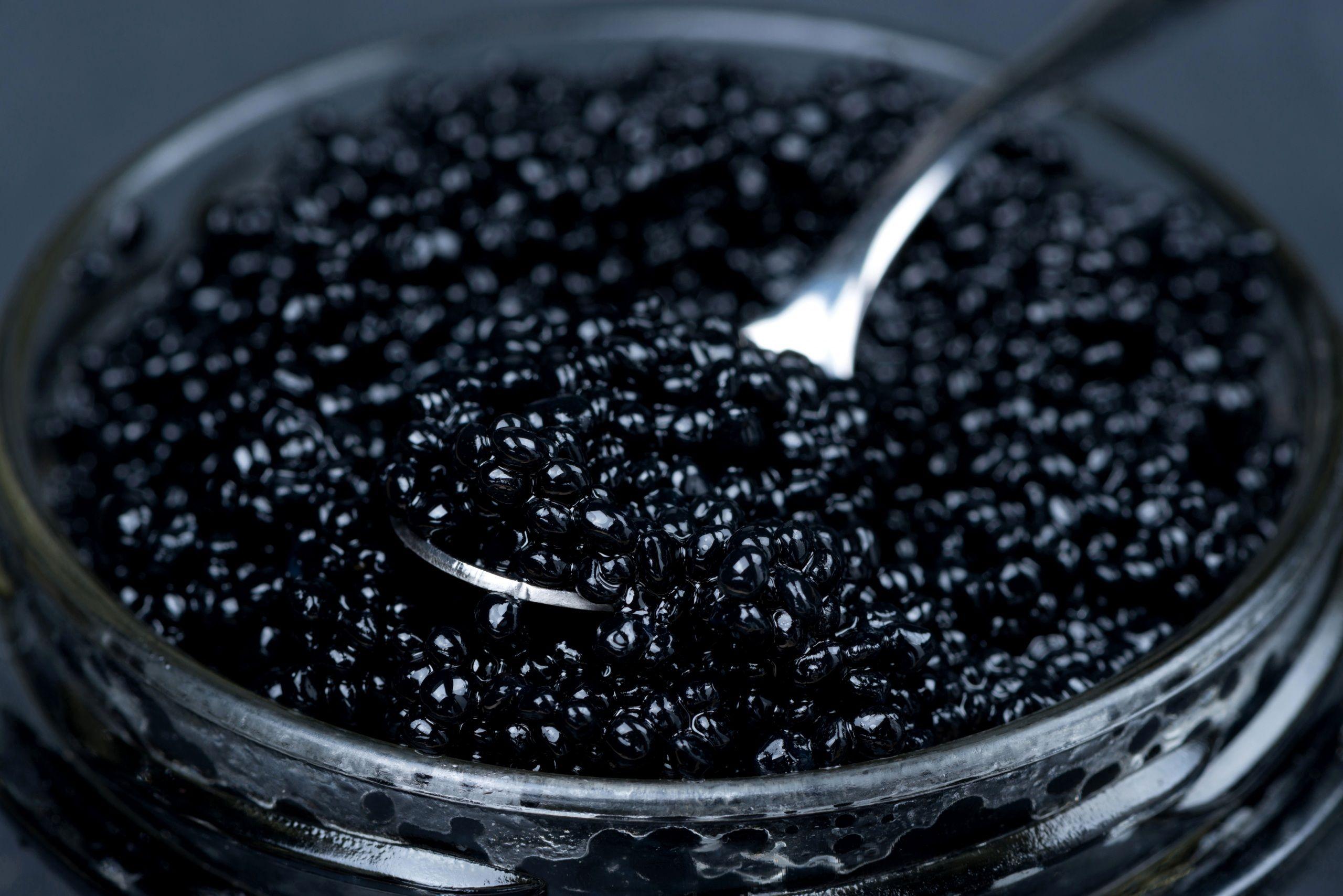 Caviar Wallpapers Wallpaper Cave