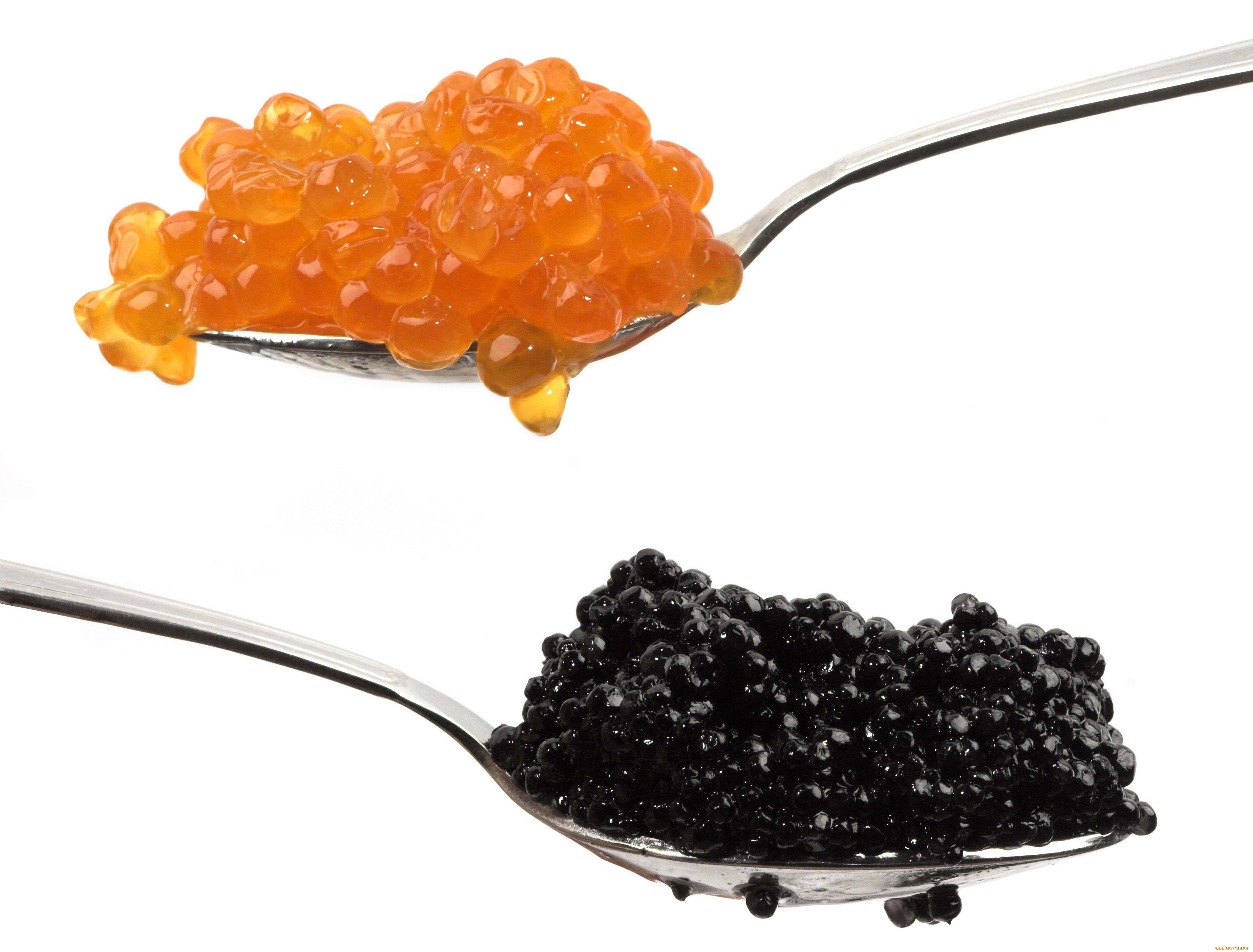 Caviar Wallpapers Wallpaper Cave