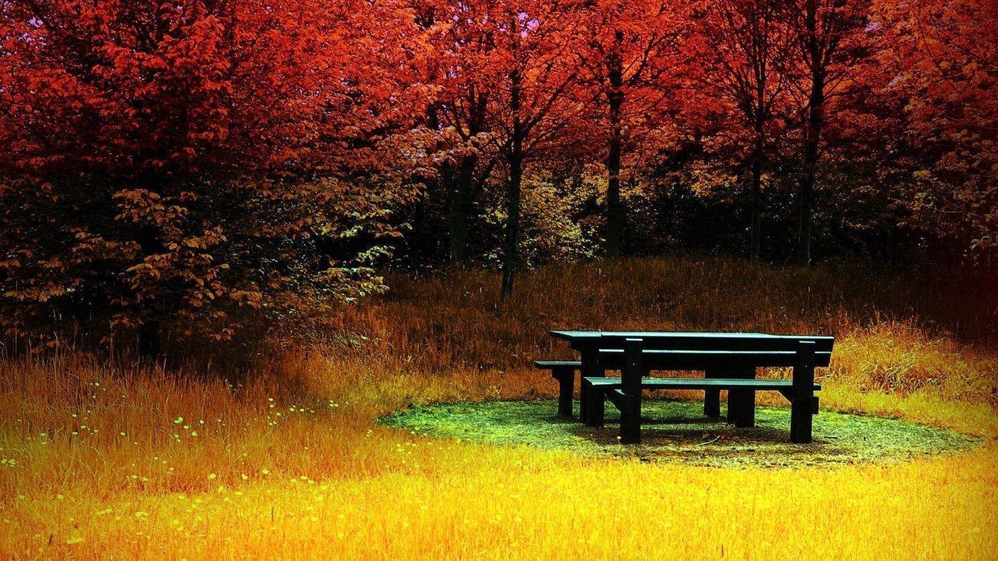 Pagalworld. Com Wallpapers Wallpaper Cave