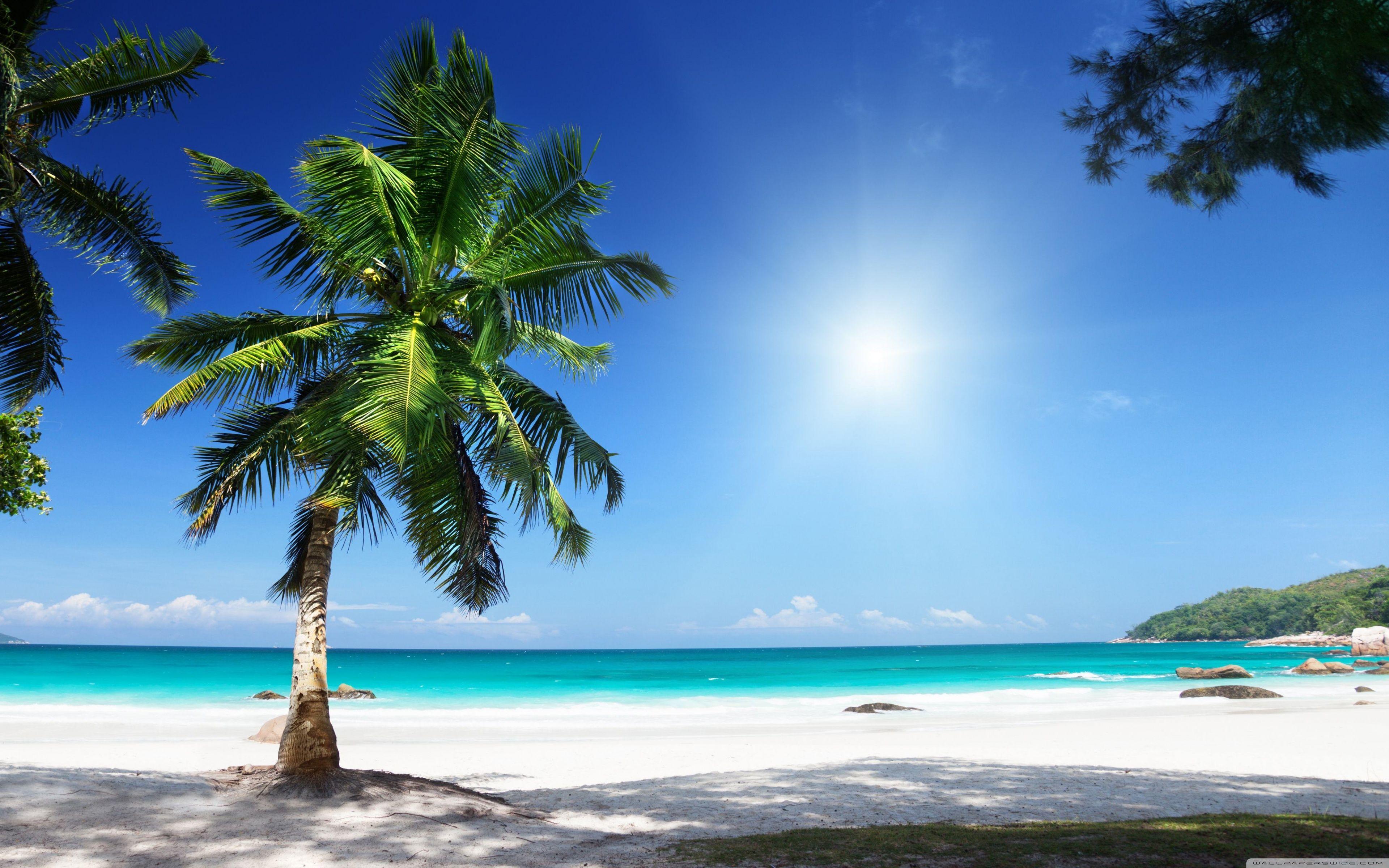 Sunny Beach Wallpapers Wallpaper Cave