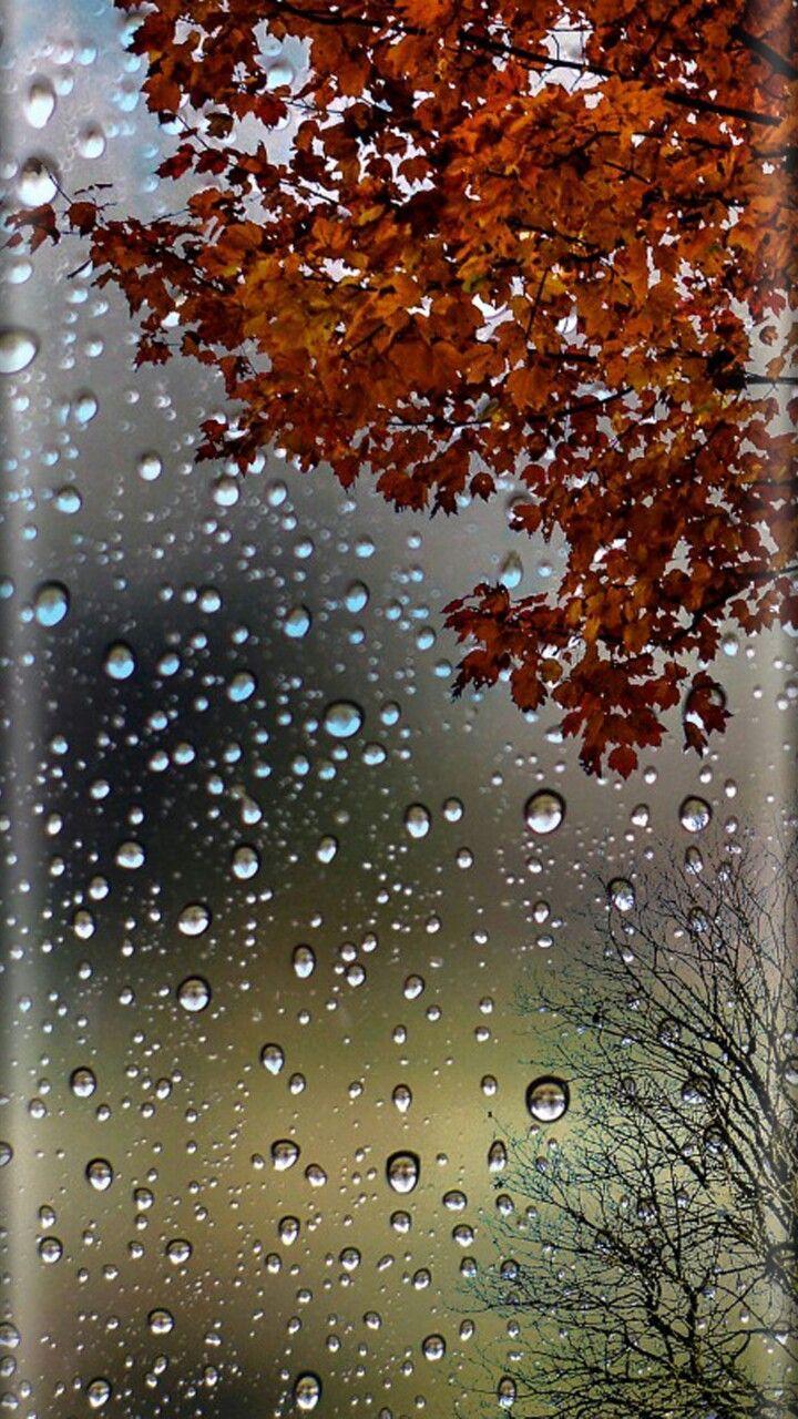 Rain Drops Wallpapers 3d