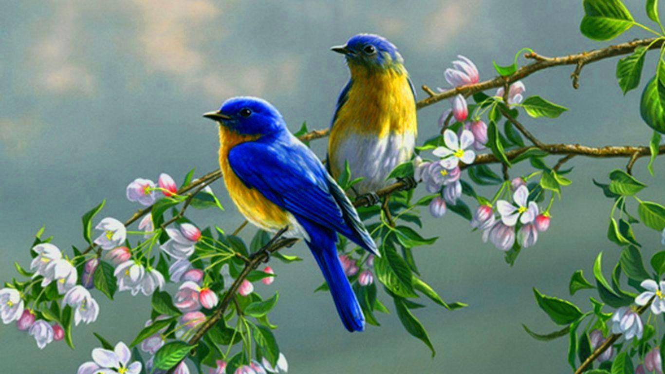 Free Download Download Top 10 Hd Wallpapers For Pc Desktop Wallpapers [2560X1440] For Your Desktop, Mobile & Tablet | Explore 63+ Free Wallpaper Pc | Free Desktop Wallpaper Downloads, Free Desktop Backgrounds Pc Hd Wallpapers Free Downlod - Wallpaper Cave