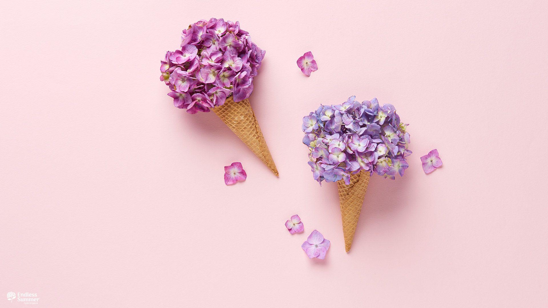 Cut Wallpapers Wallpaper Cave