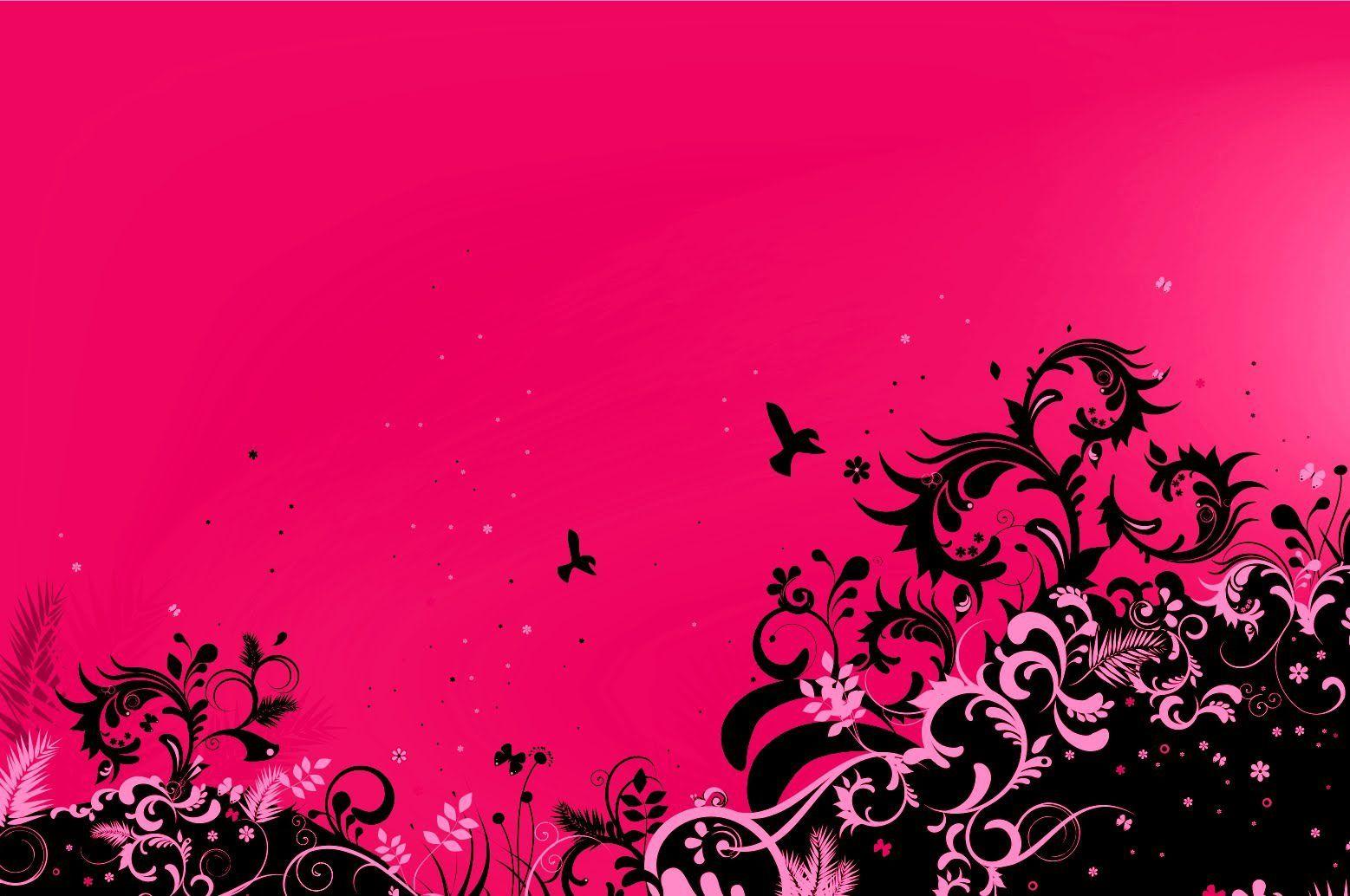 Fuschia Pink And Black Backgrounds Wallpaper Cave