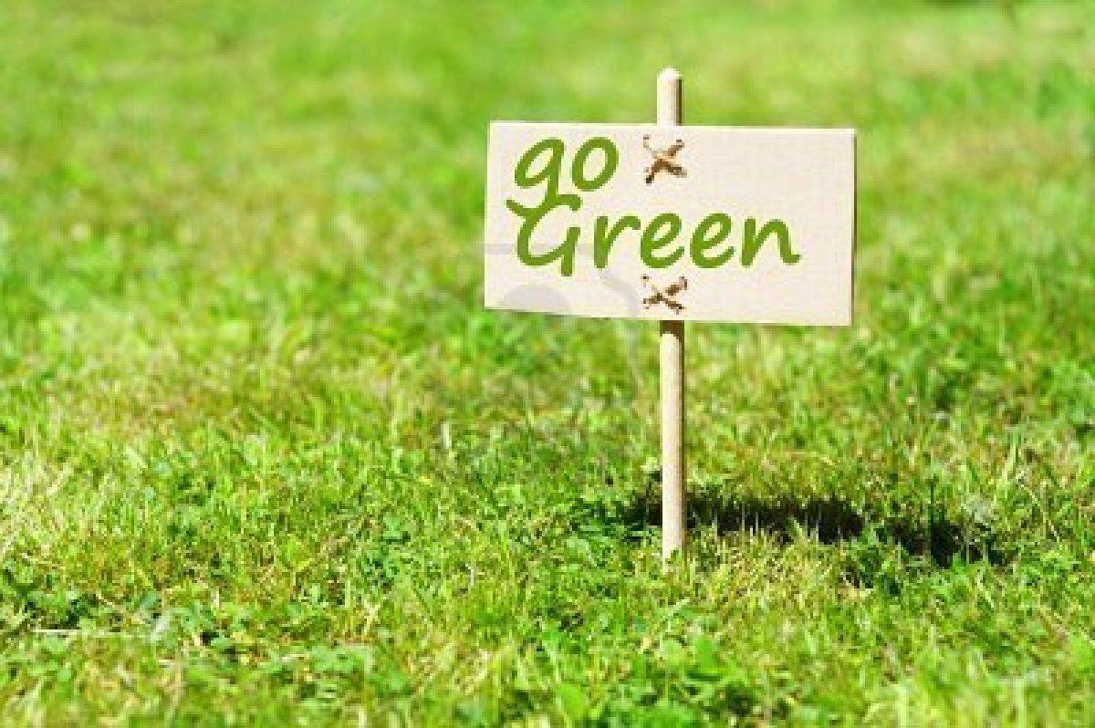 Go Green HD Wallpapers Wallpaper Cave