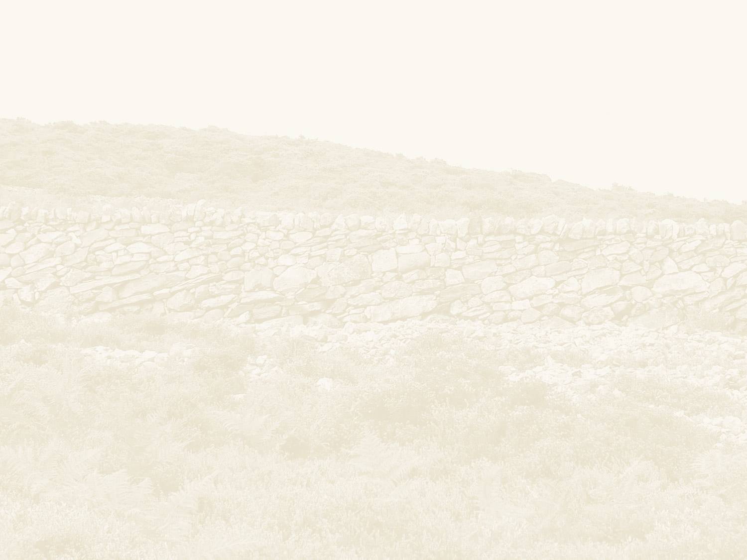 Backgrounds Polos Wallpaper Cave