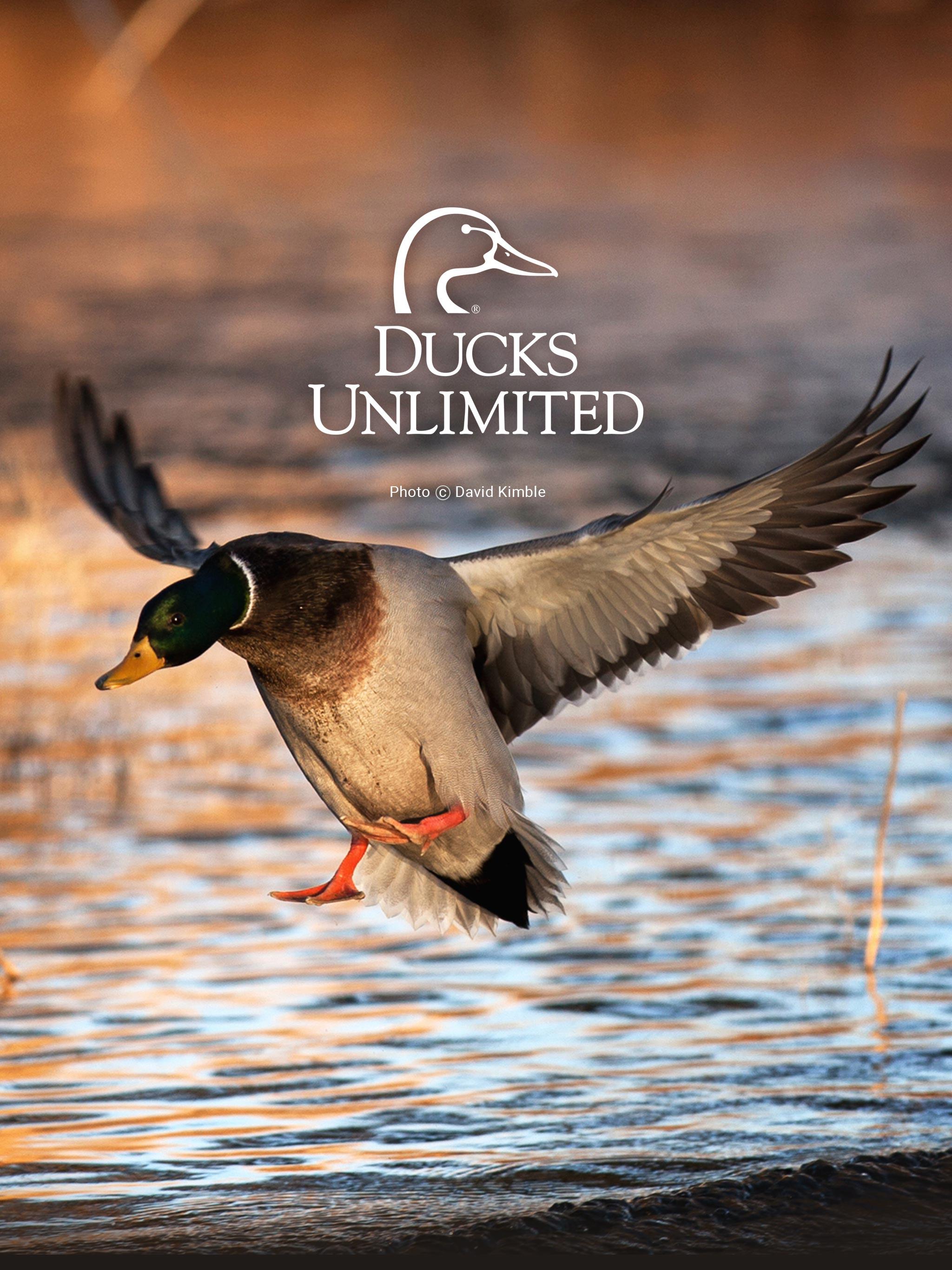 Ducks Unlimited Camo Wallpapers Wallpaper Cave