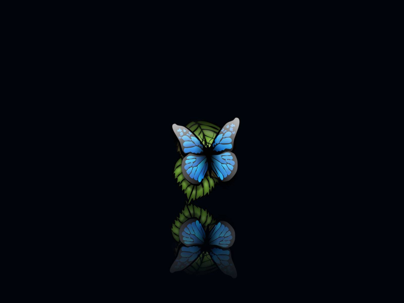 Dark Butterfly Wallpapers Wallpaper Cave