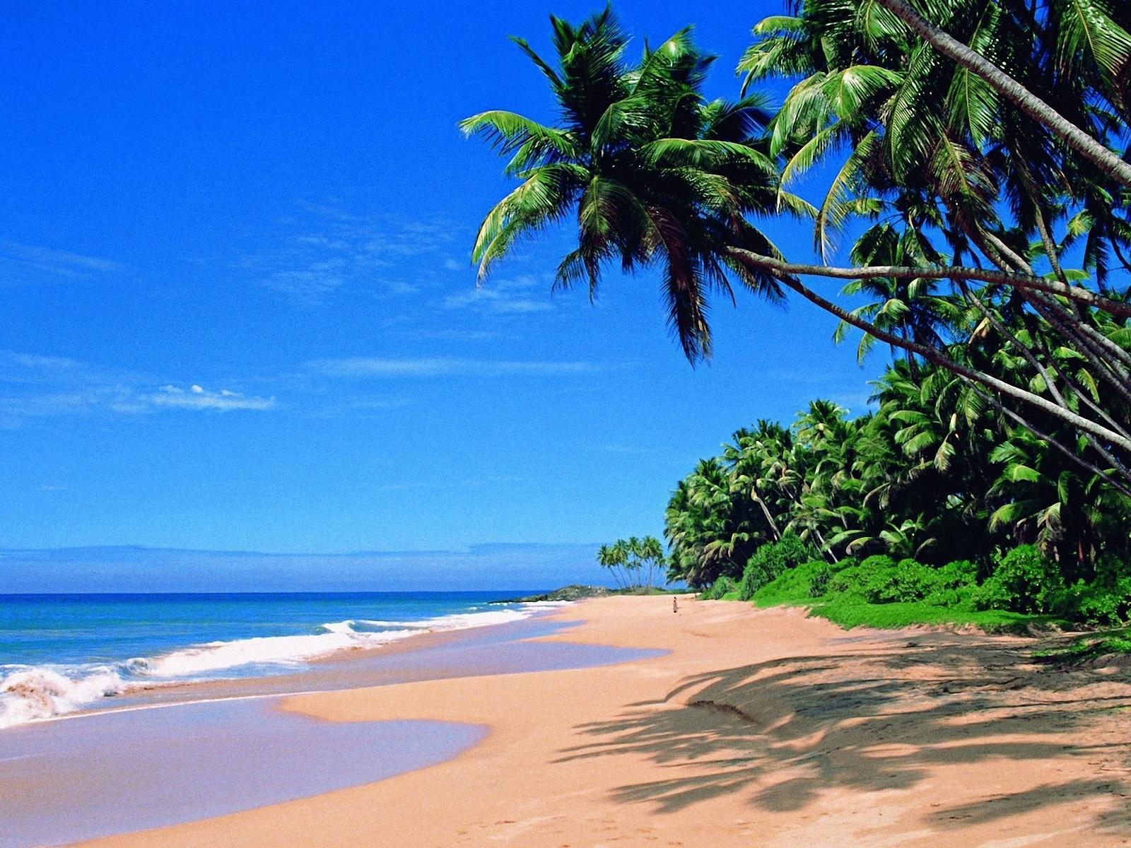 Goa Beaches Wallpapers Wallpaper Cave