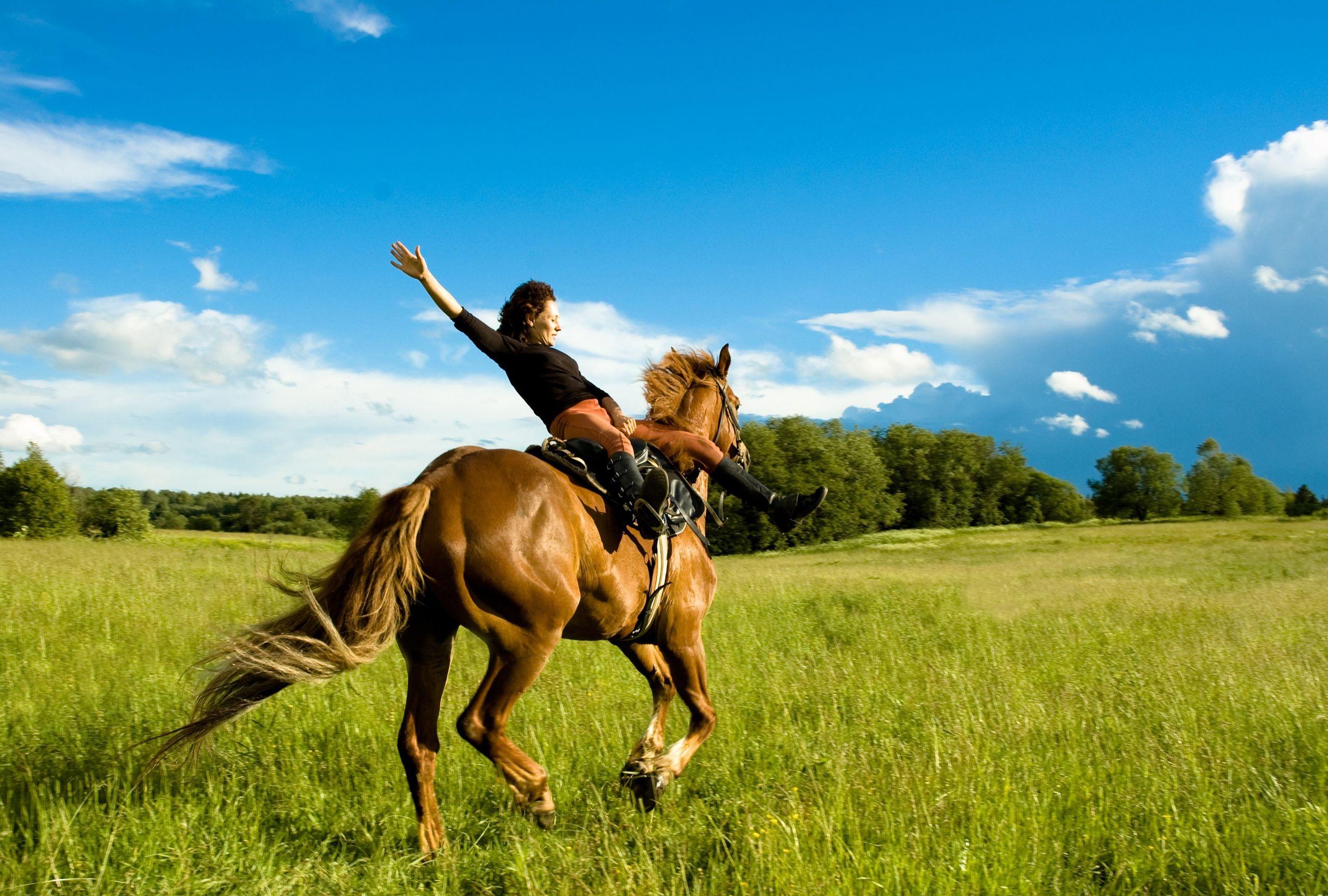 Horse Riding Wallpapers Free Wallpaper Cave