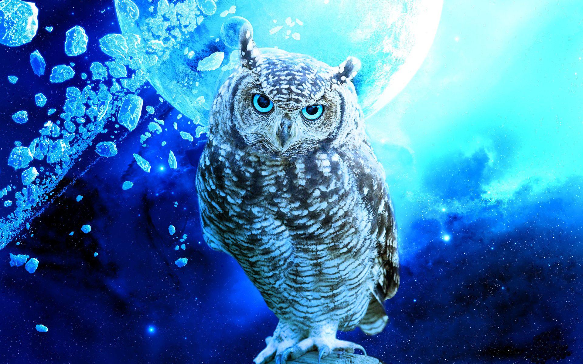 Owl Free Wallpapers Wallpaper Cave