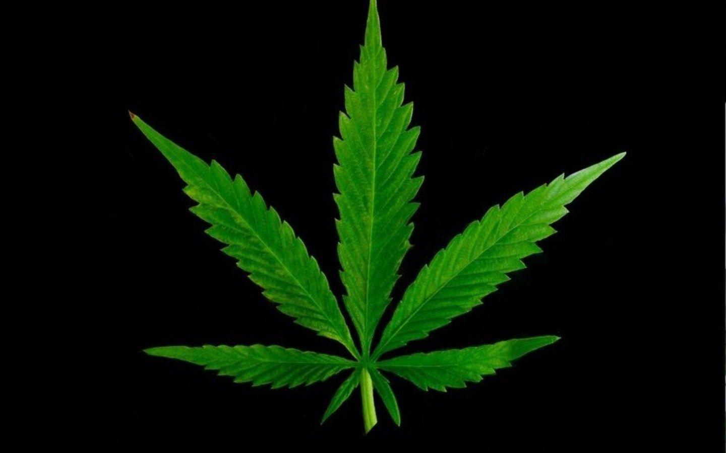 Marijuana Leaf Wallpapers HD Wallpaper Cave