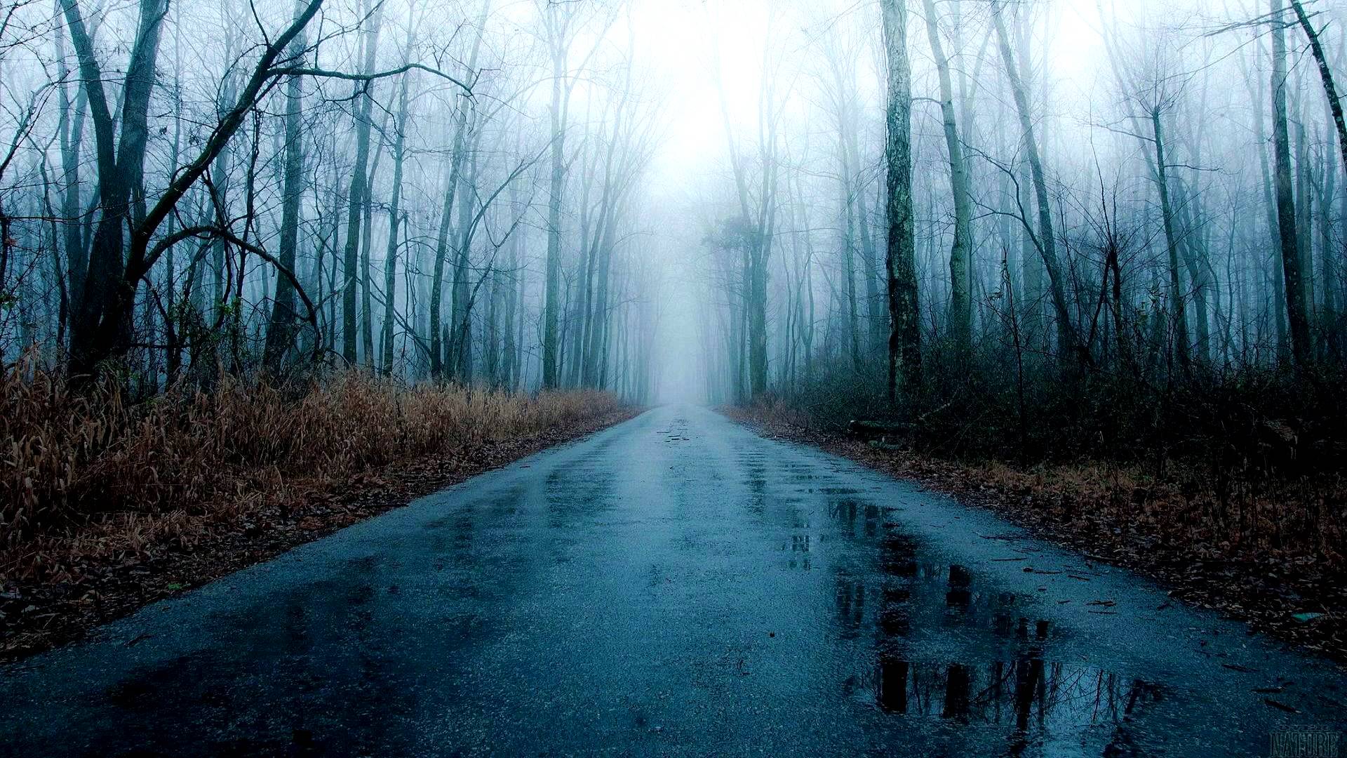 Rain 3D Wallpapers Wallpaper Cave