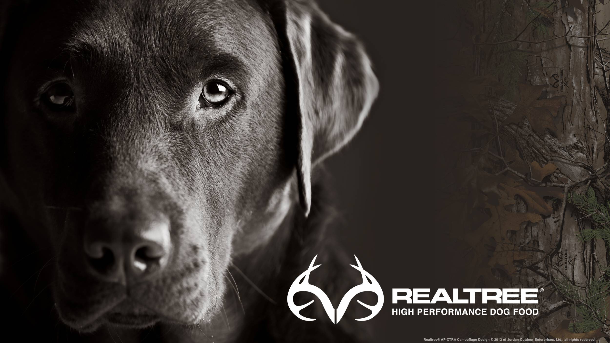 Realtree Wallpapers Wallpaper Cave