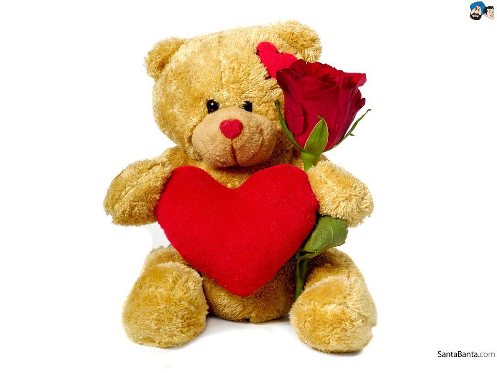 Free Teddy Full HD Wallpapers Wallpaper Cave