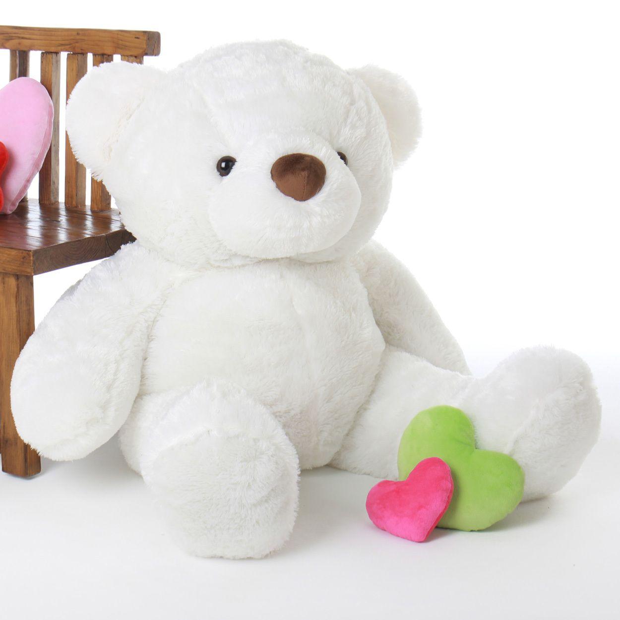 Free Teddy Full HD Wallpapers Wallpaper Cave