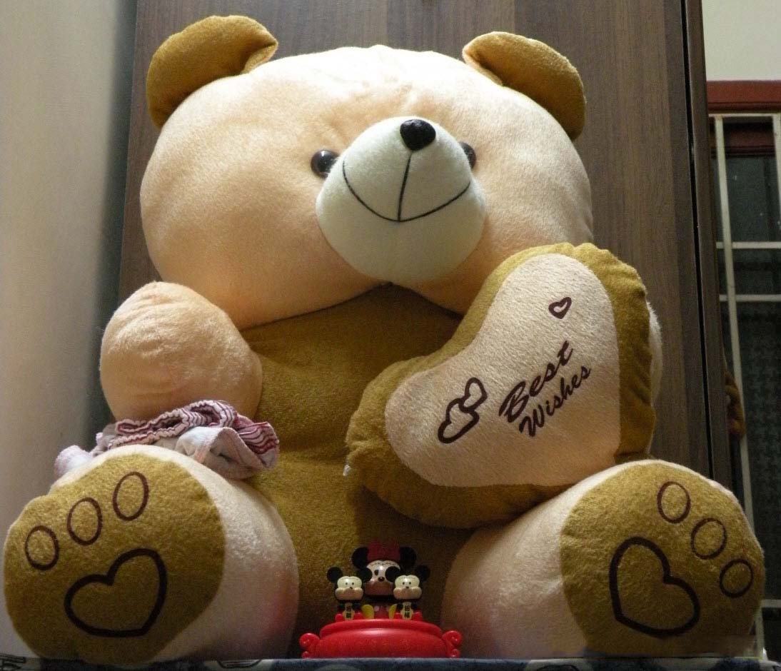 Free Teddy Full HD Wallpapers Wallpaper Cave