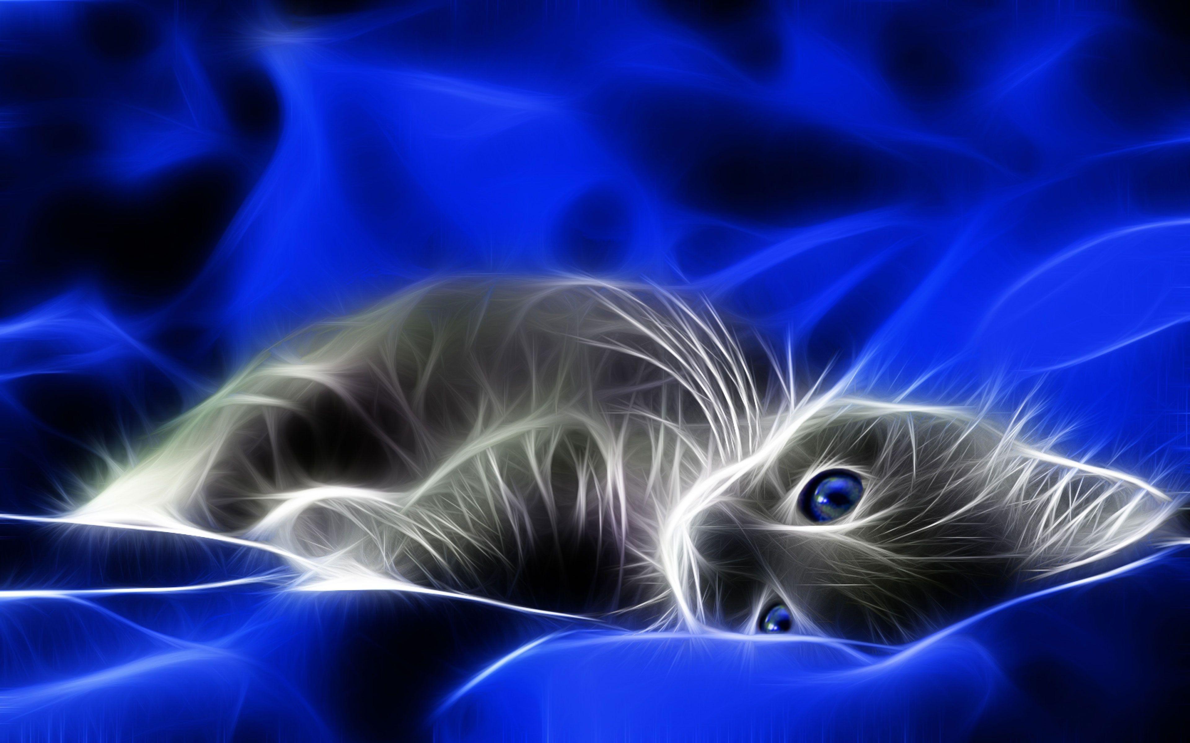 Animated Cats Wallpapers Wallpaper Cave