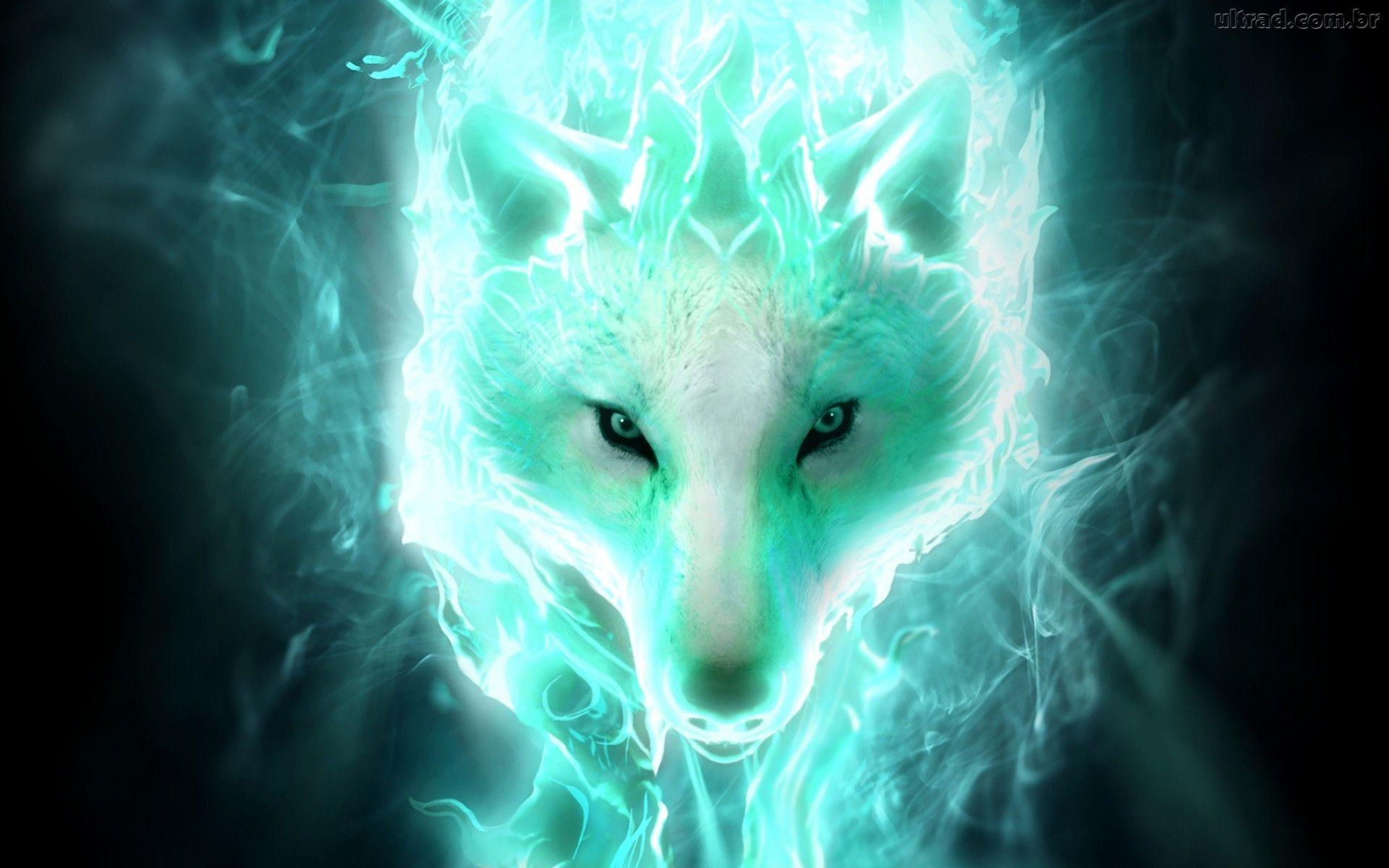 Ice Wolf Wallpapers Wallpaper Cave