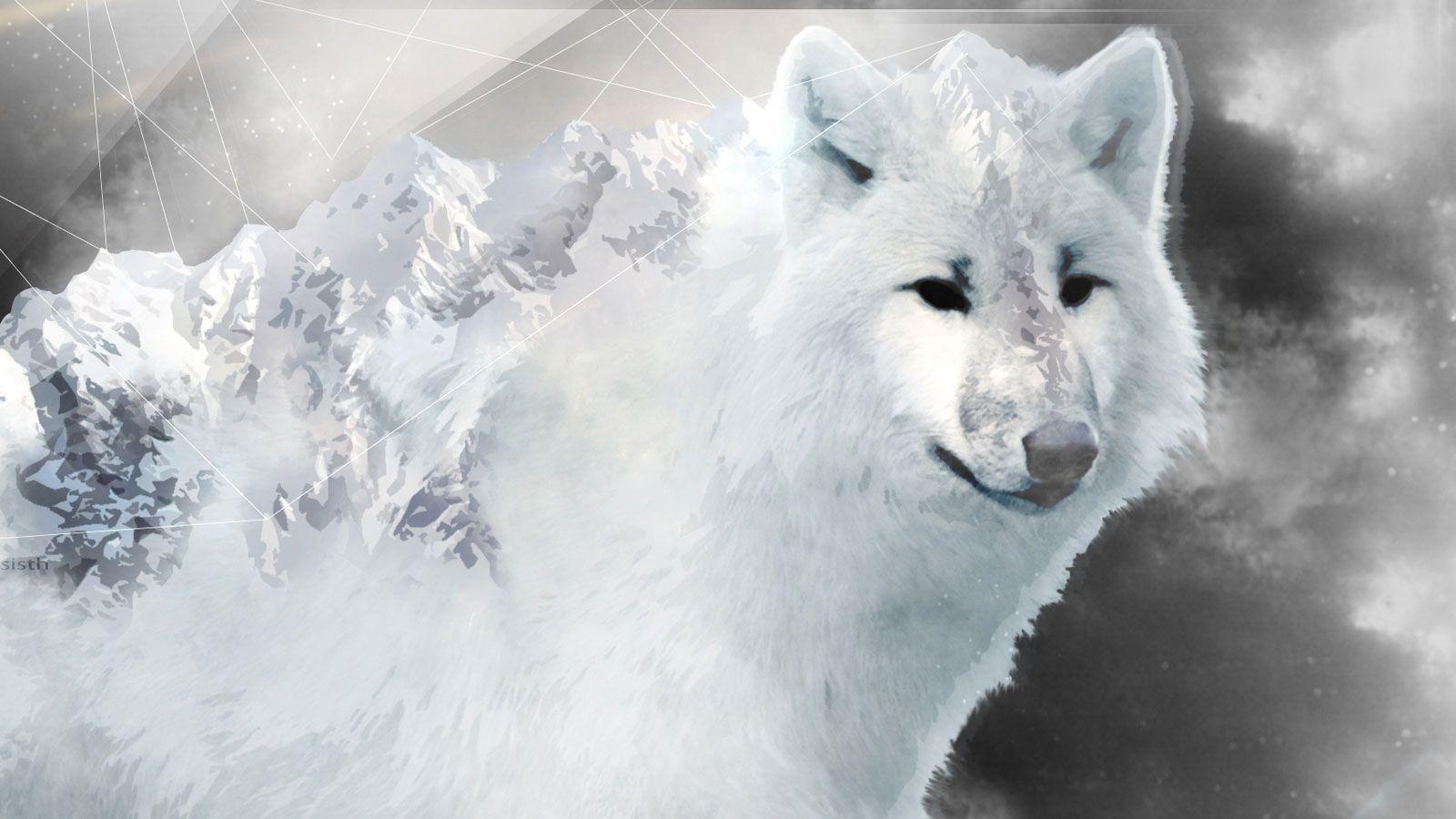 Ice Wolf Wallpapers Wallpaper Cave