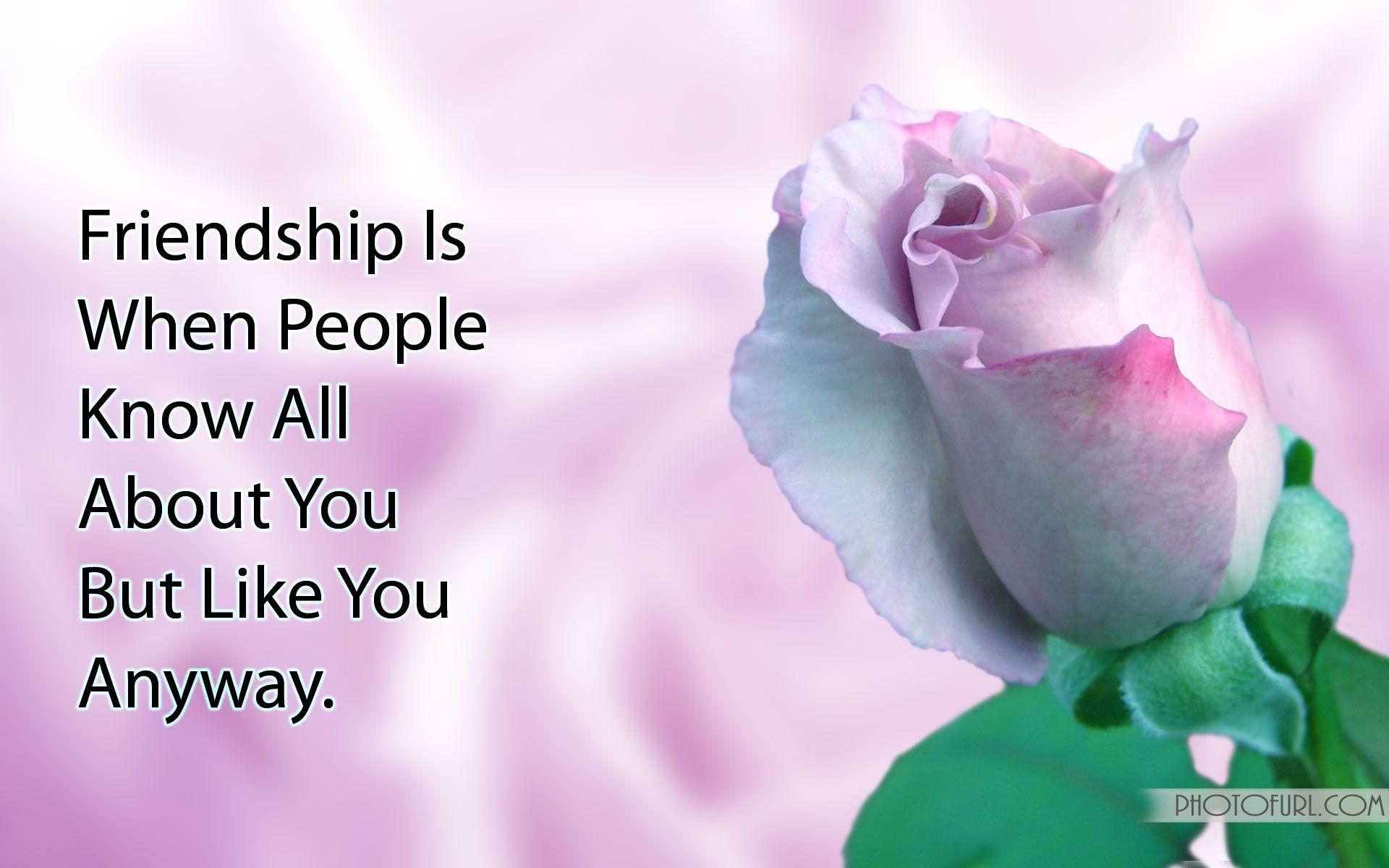 Best Friend Quotes Wallpapers Wallpaper Cave