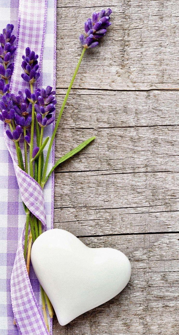 Lavender Flower Background Iphone miaeroplano