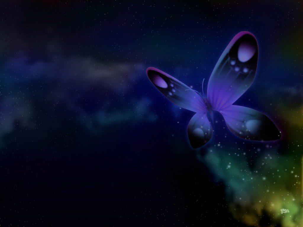 Night Butterfly Wallpapers Wallpaper Cave