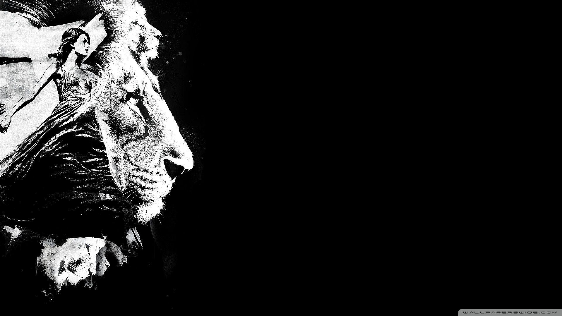 Black And White Lion Wallpapers Wallpaper Cave