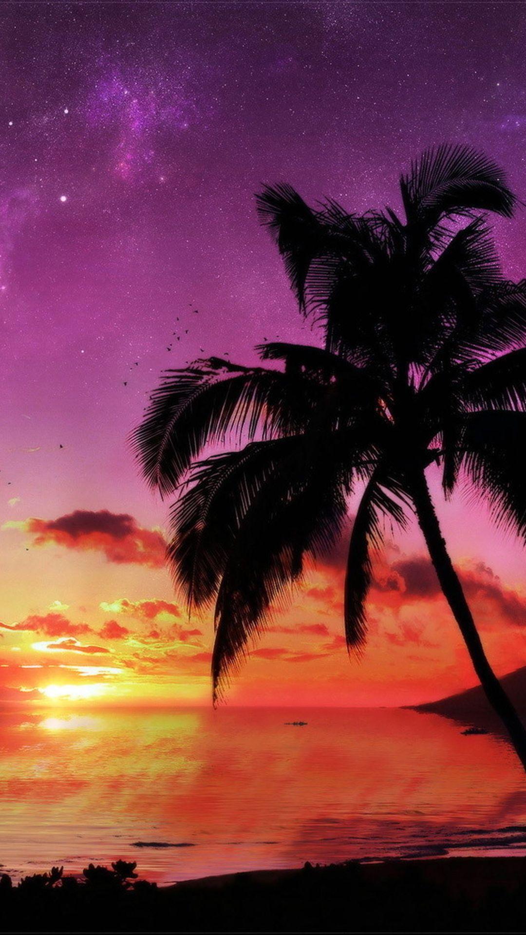 Coconut Tree Wallpapers Wallpaper Cave