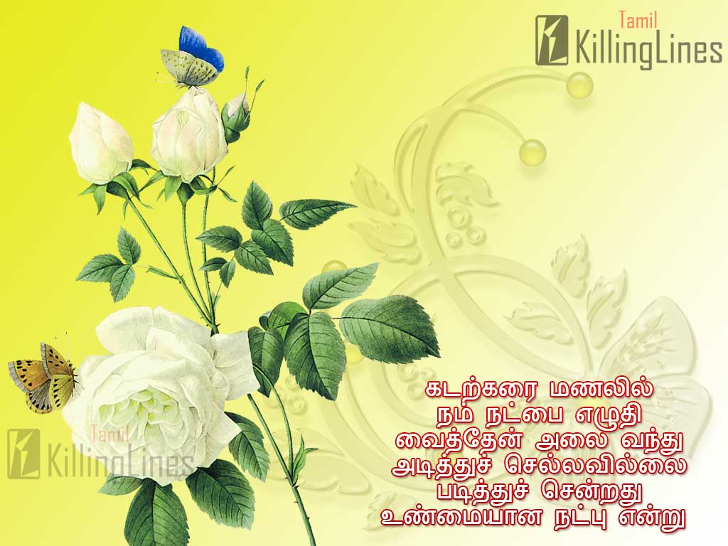 Rose Flower Kavithai In Tamil Best Flower Site