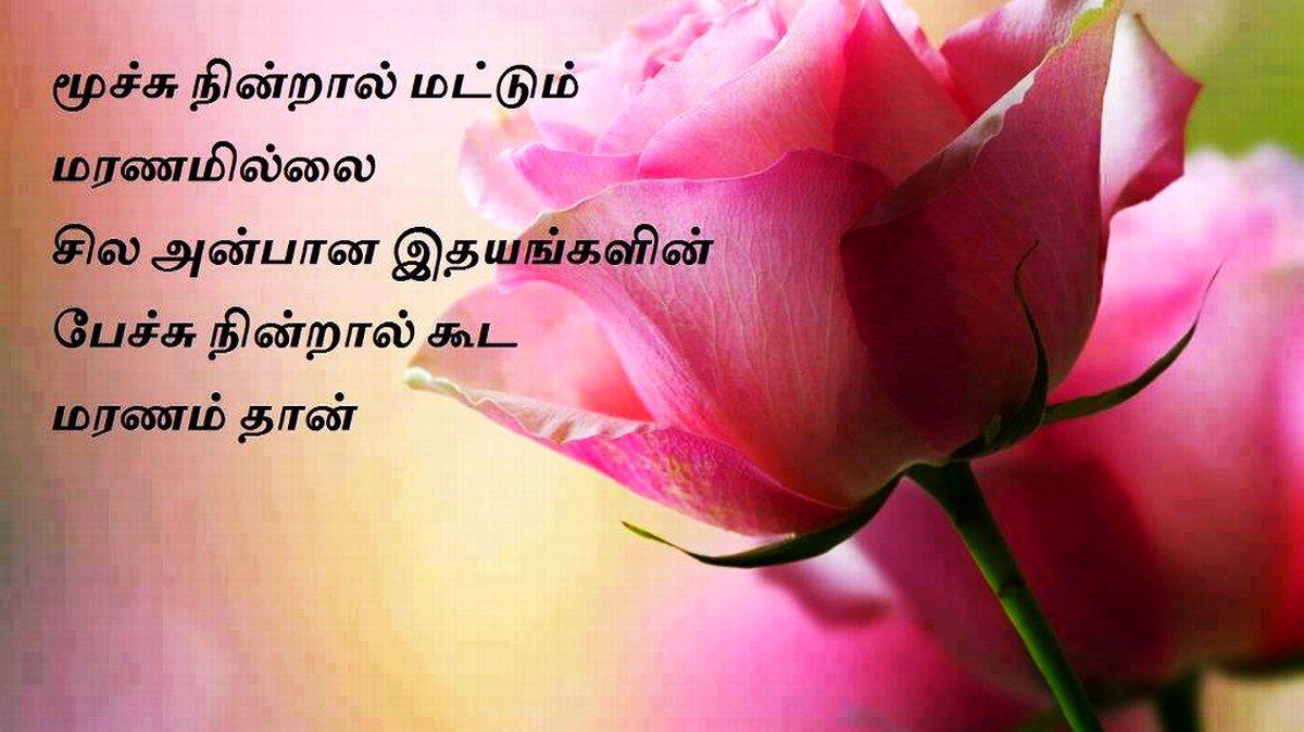Flower Kavithai In Tamil Best Flower Site