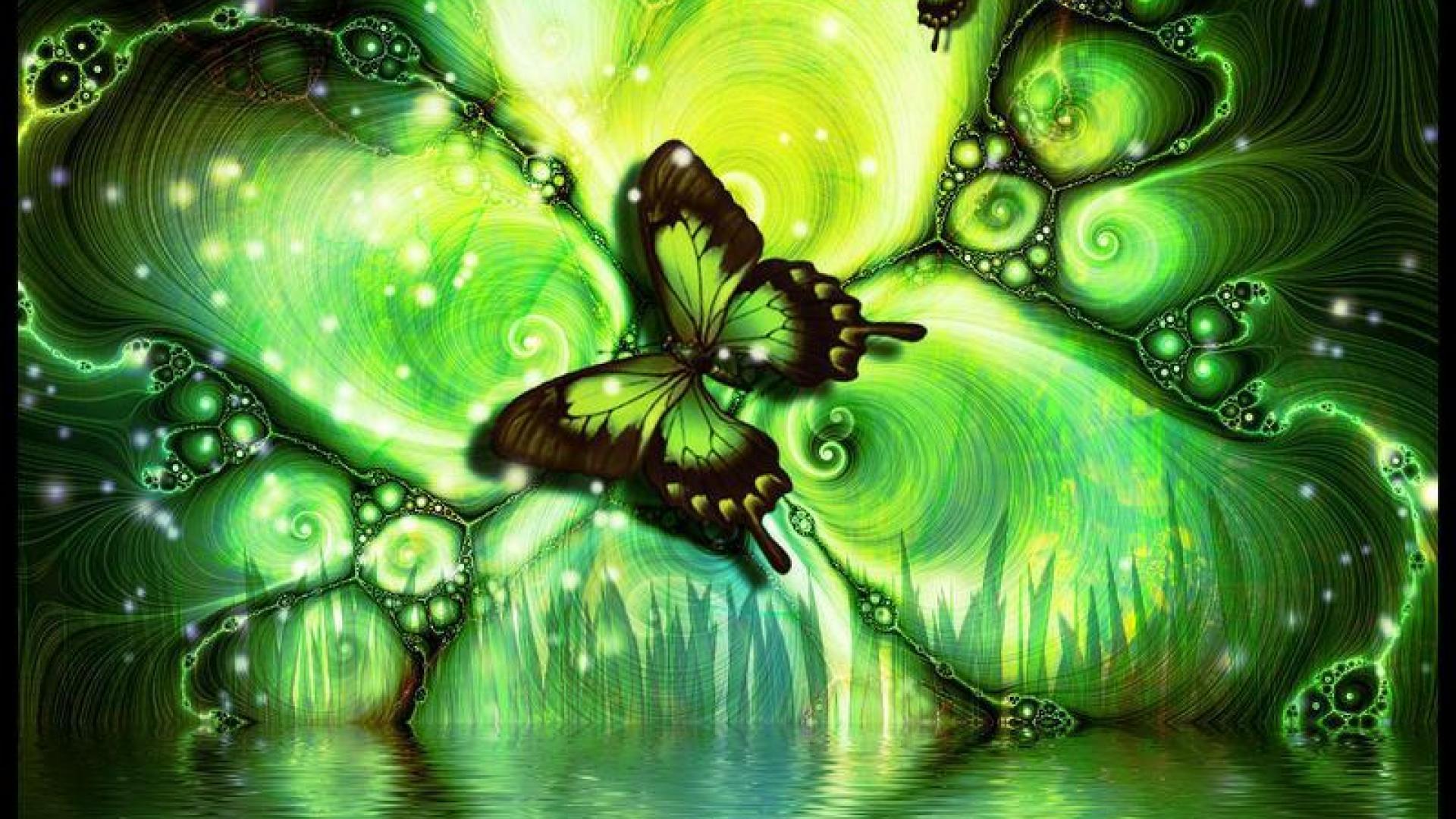 Neon Green Butterflies Wallpapers Wallpaper Cave