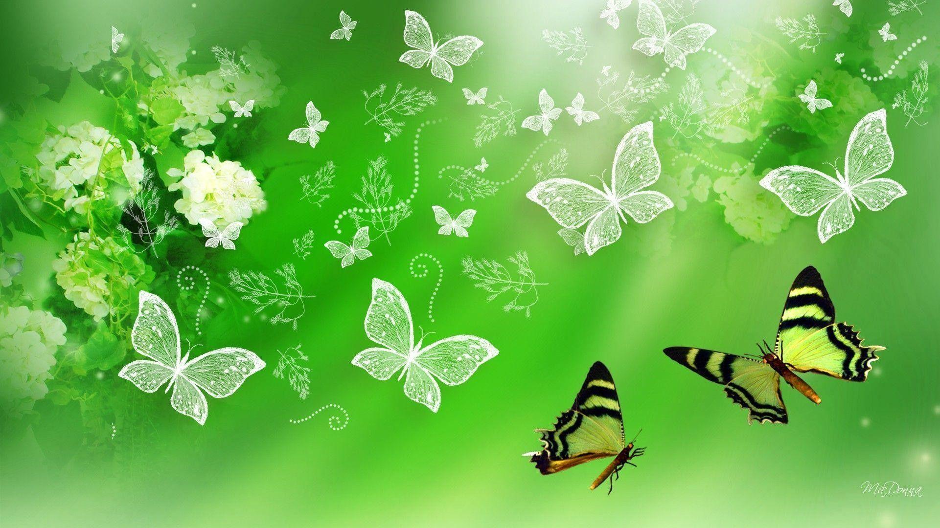Neon Green Butterflies Wallpapers Wallpaper Cave