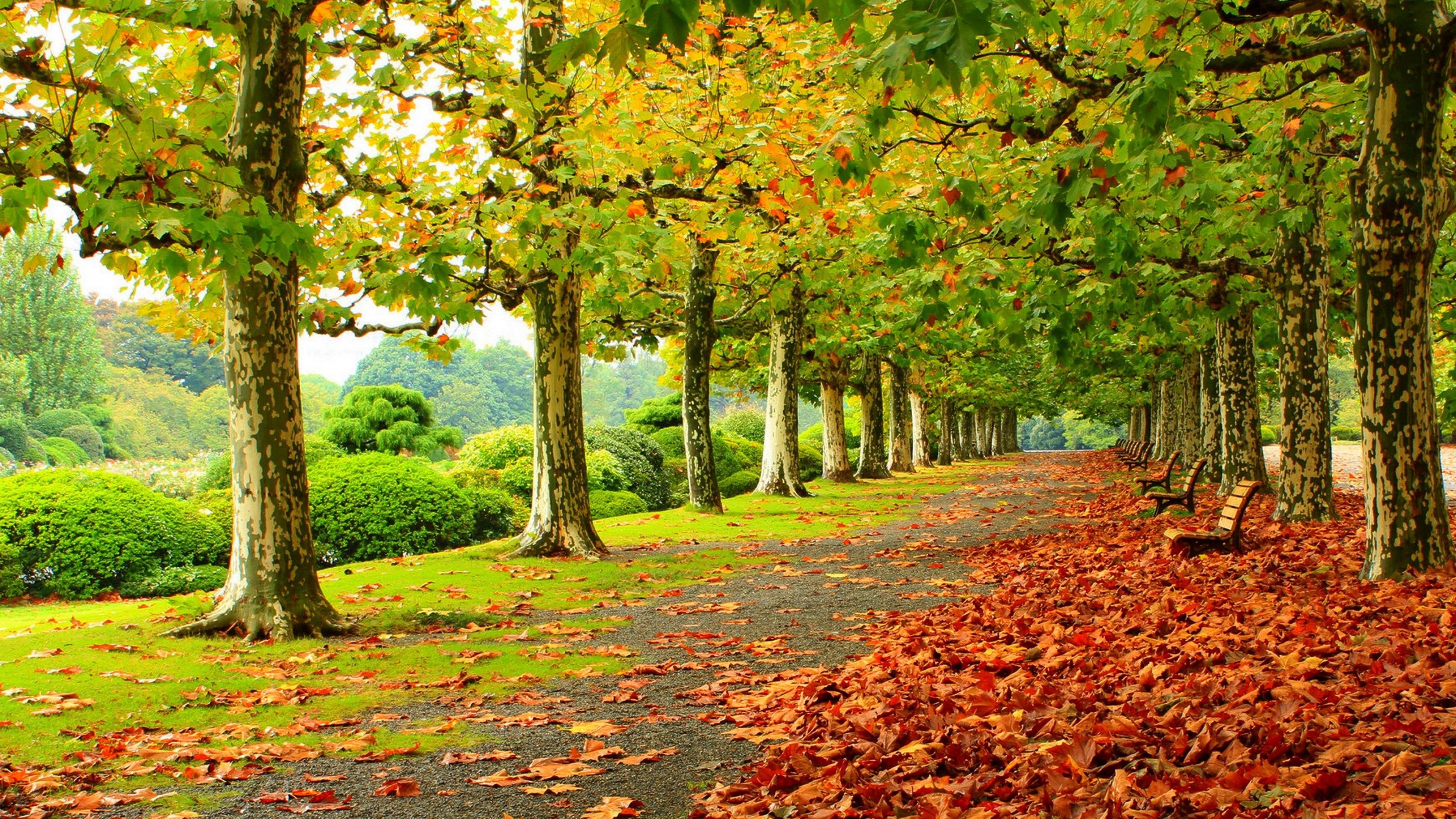 Most Beautiful Scenery Wallpapers Wallpaper Cave