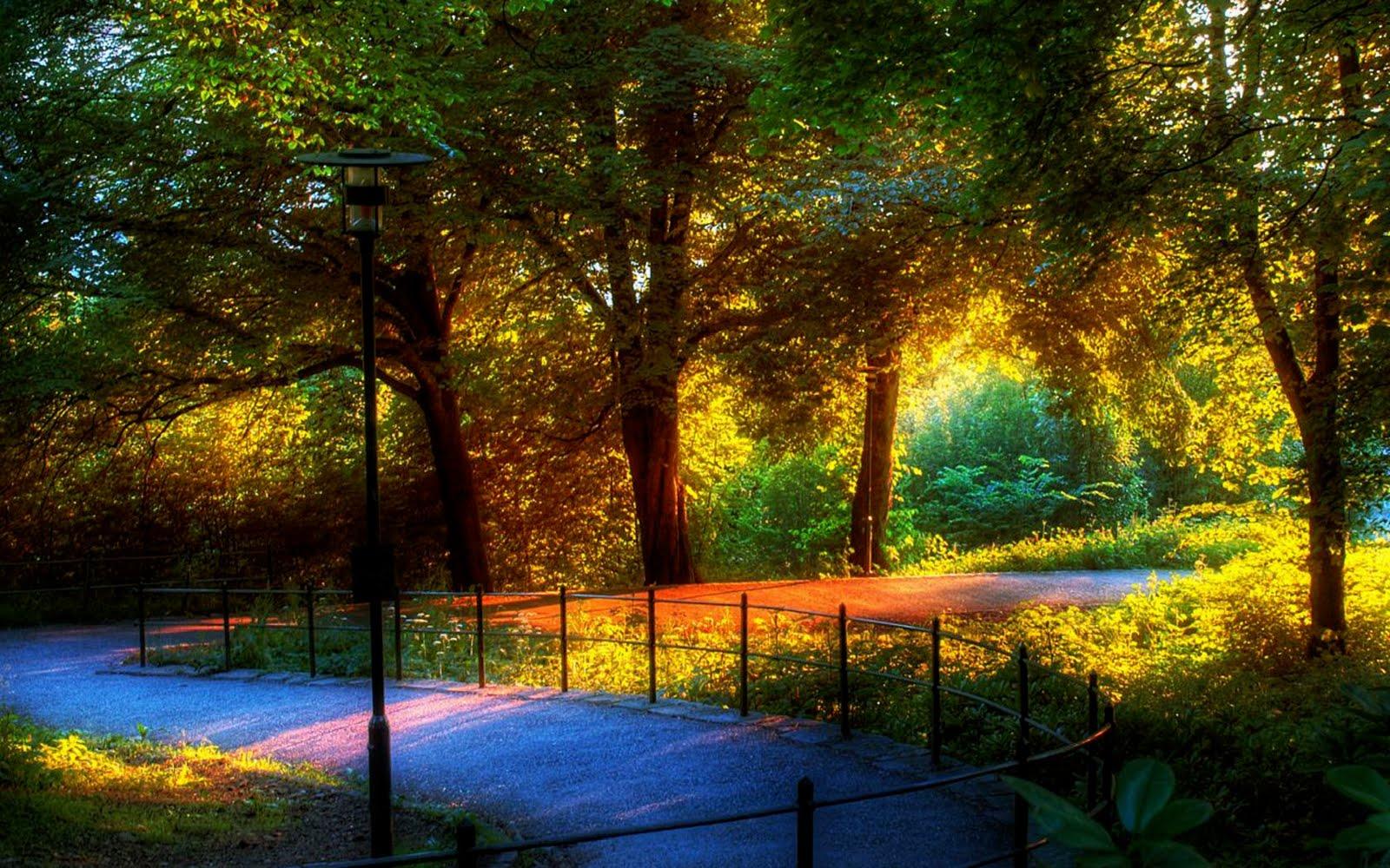 Most Beautiful Scenery Wallpapers Wallpaper Cave