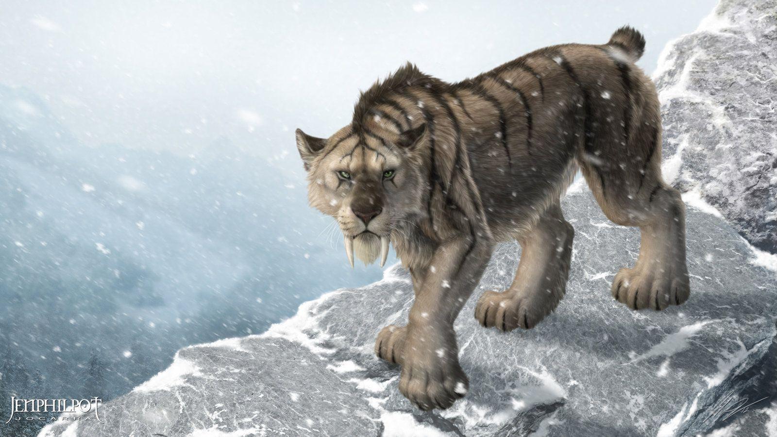 Saber Tooth Tiger Wallpapers Wallpaper Cave