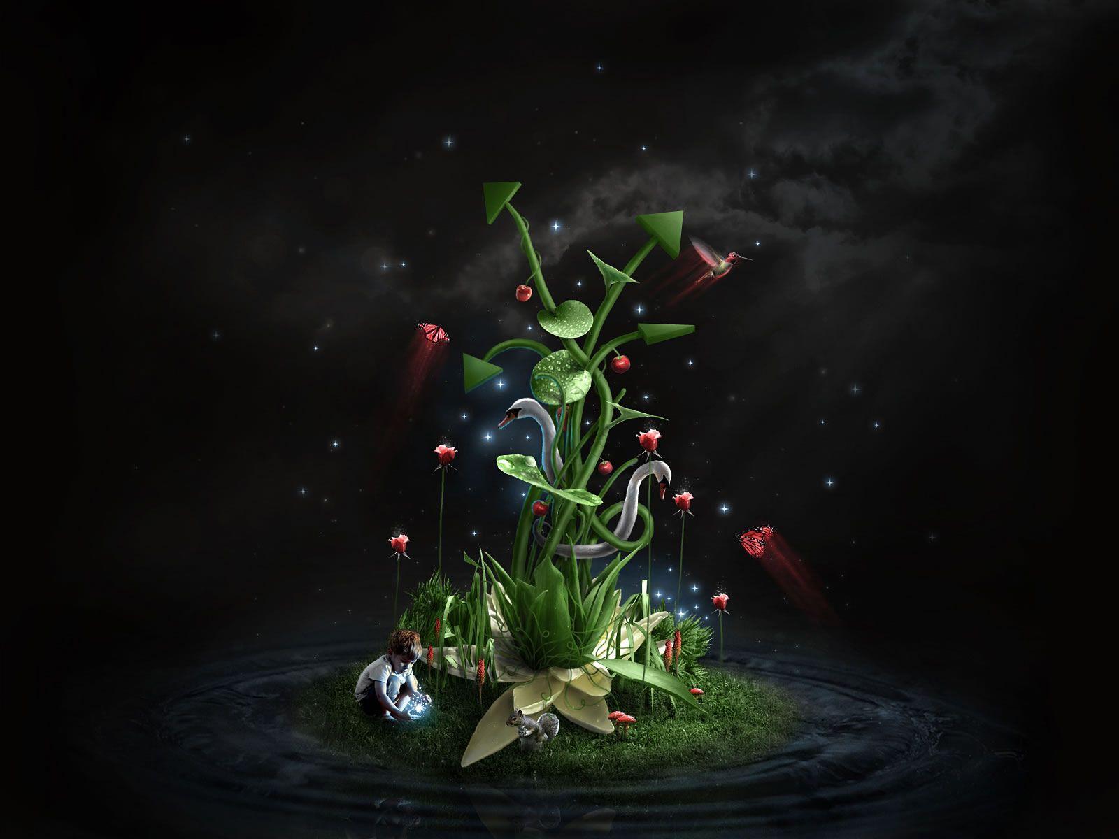 Black Beautiful Wallpapers Wallpaper Cave