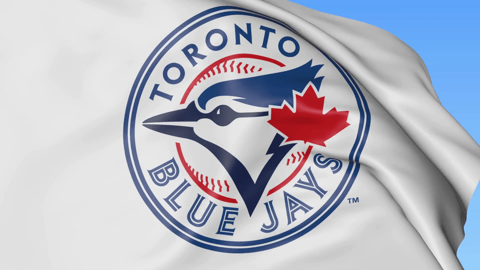 Blue Jays Backgrounds Wallpaper Cave