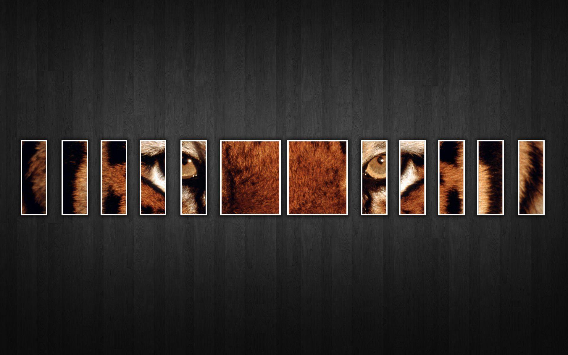 Cover Wallpapers Wallpaper Cave