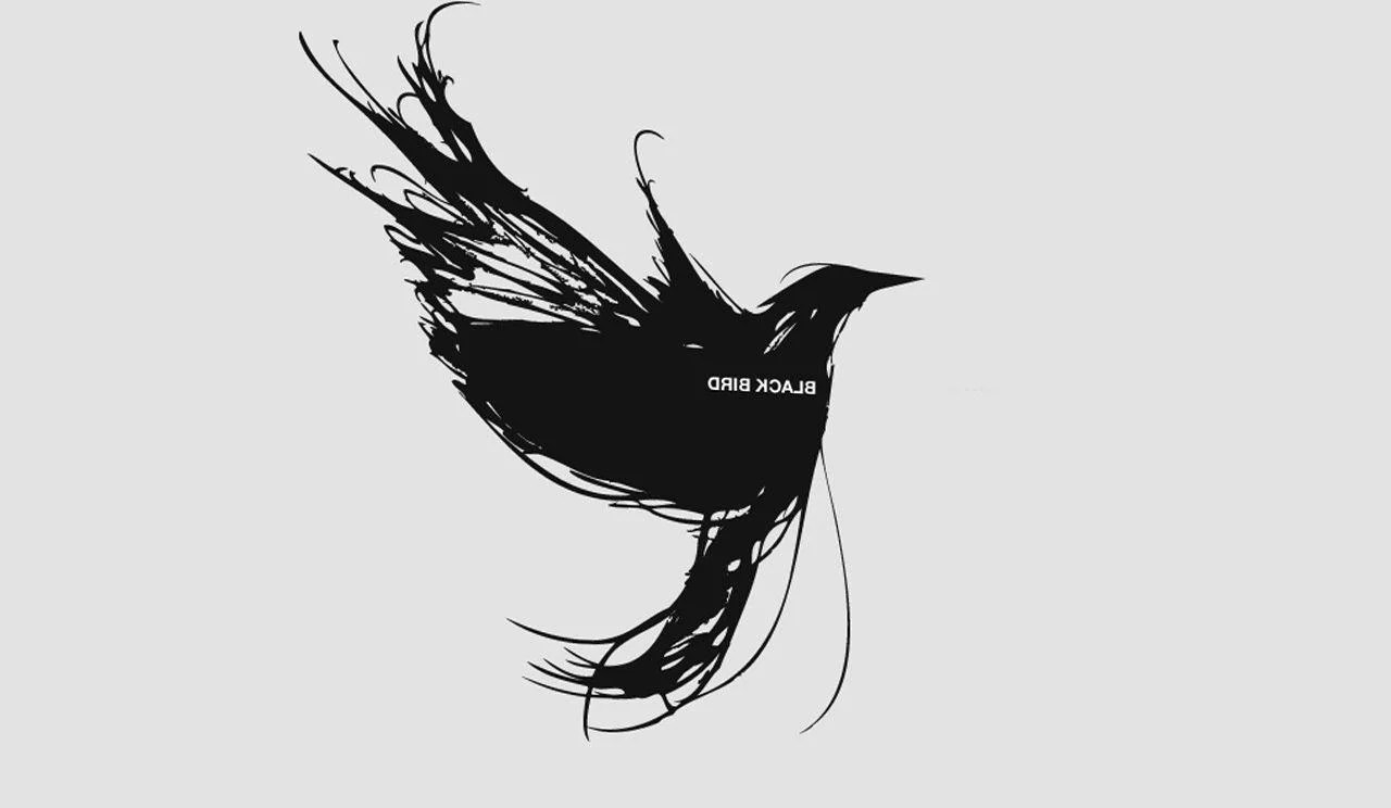 Black Bird Wallpapers HD Wallpaper Cave