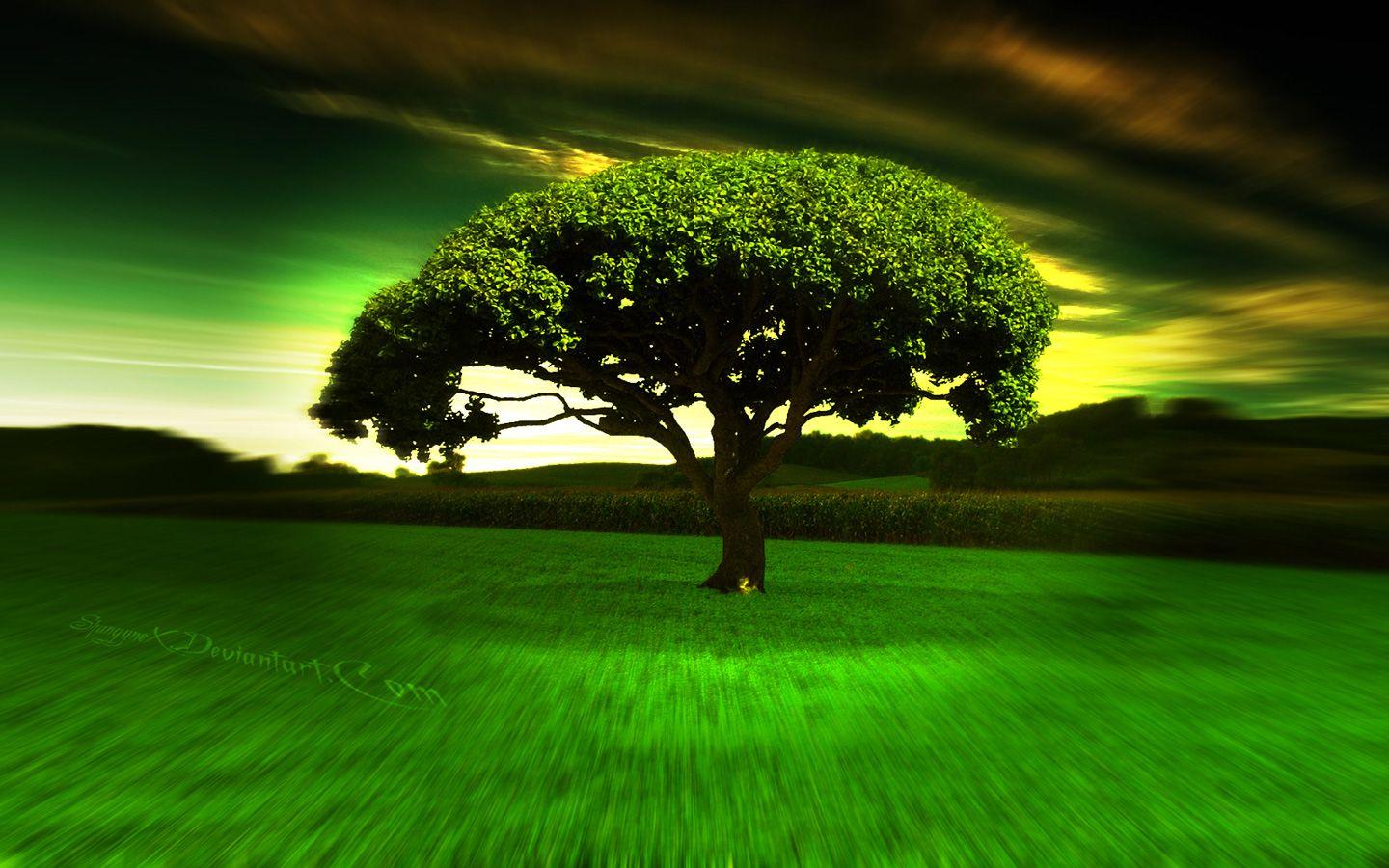Awesome Wallpapers HD 1080p Wallpaper Cave
