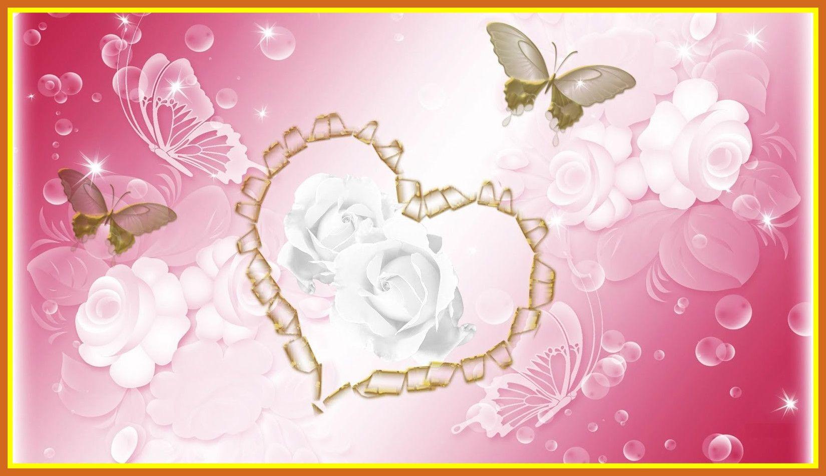 White Rose Love Wallpapers Wallpaper Cave