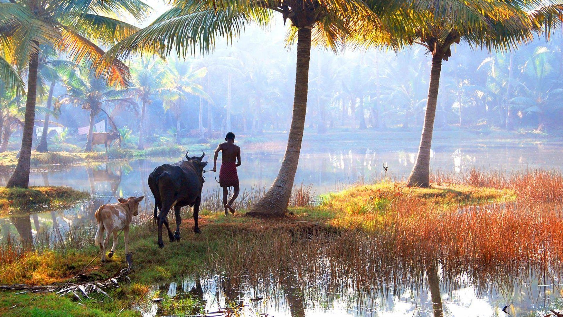 Kerala Wallpapers HD For Desktop Wallpaper Cave
