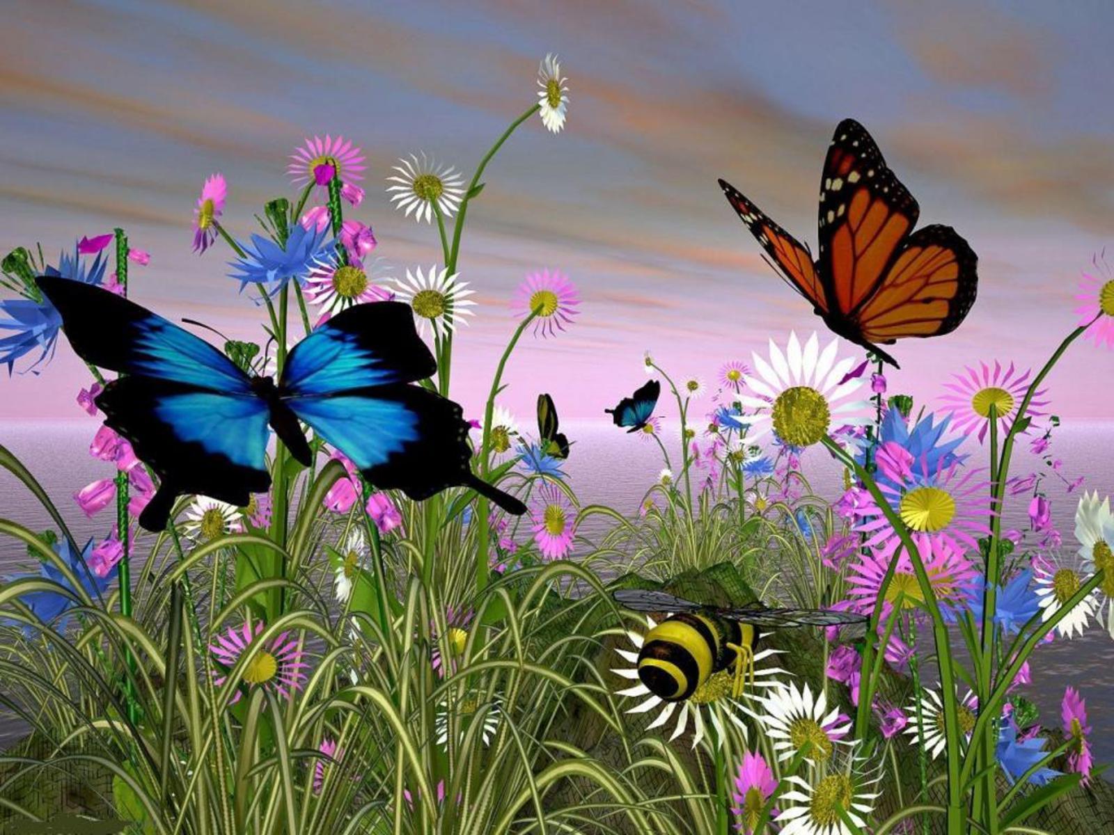 Free 3D Wallpapers Butterfly Wallpaper Cave