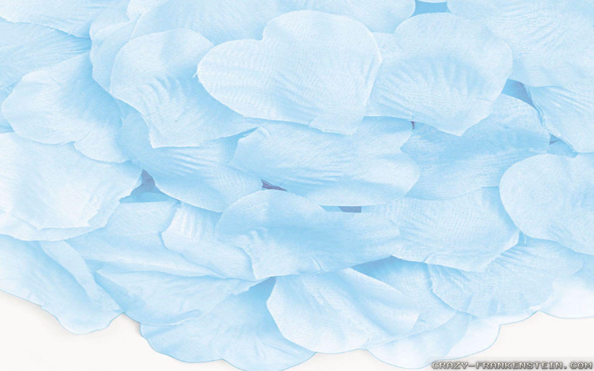 Baby Blue Wallpapers Wallpaper Cave