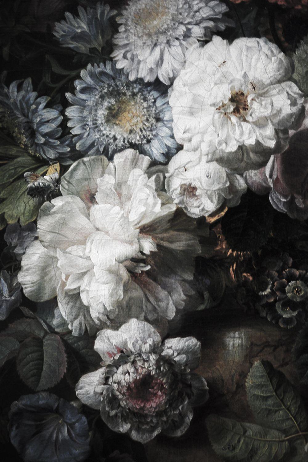 Black Floral Vintage Wallpapers Wallpaper Cave