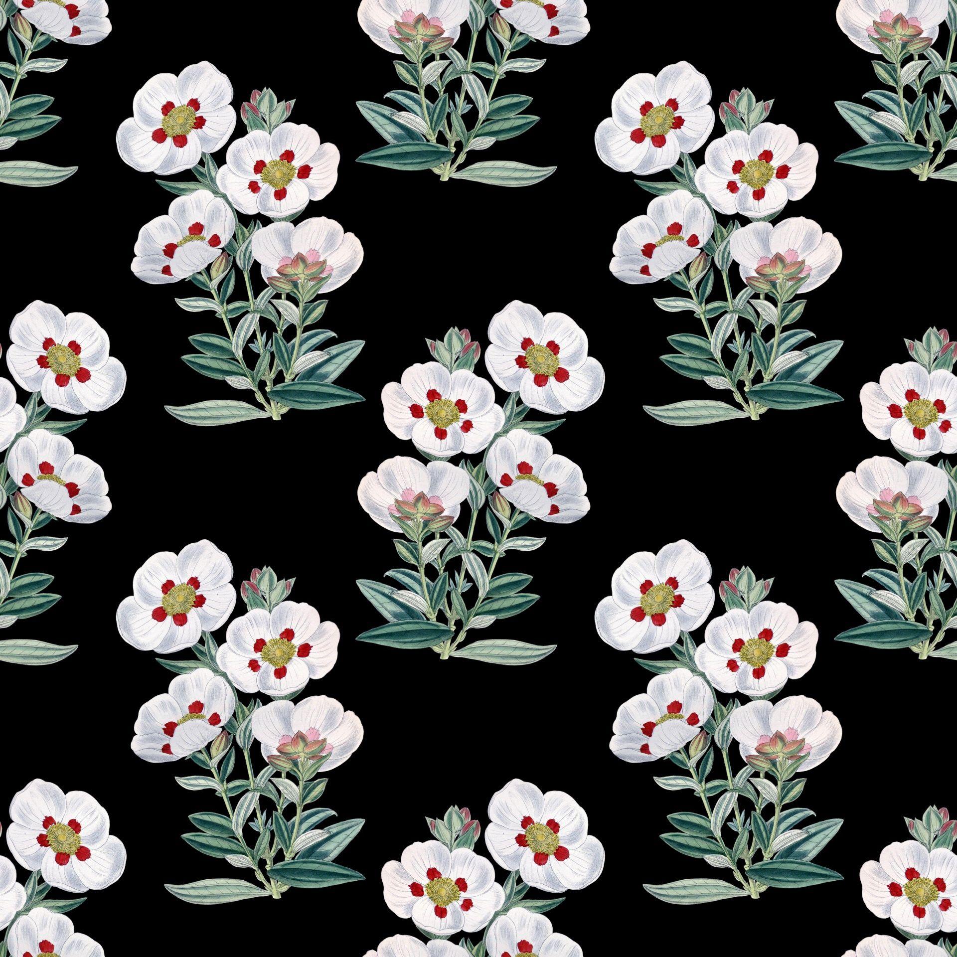Free Vintage Floral Wallpaper FREE 15+ Floral Vintage Wallpapers in