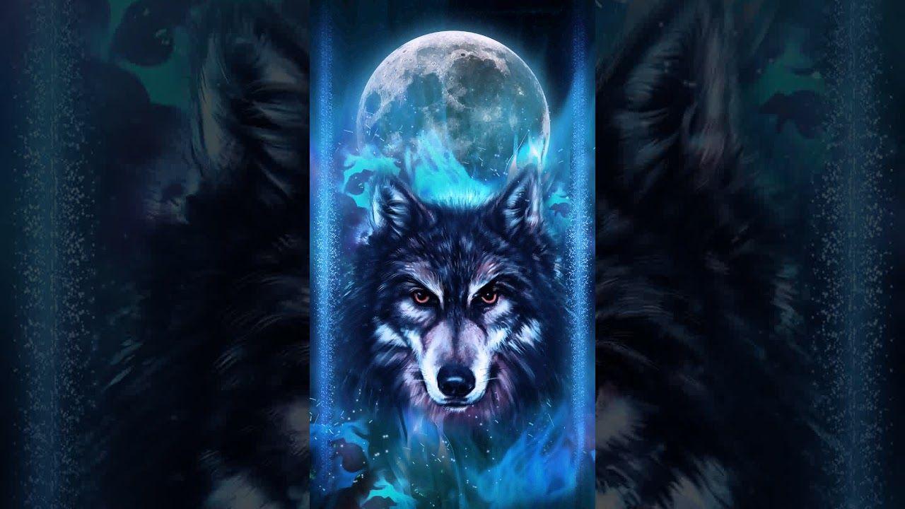Pink And Blue Wolf Wallpaper Hd wallpapers and background images