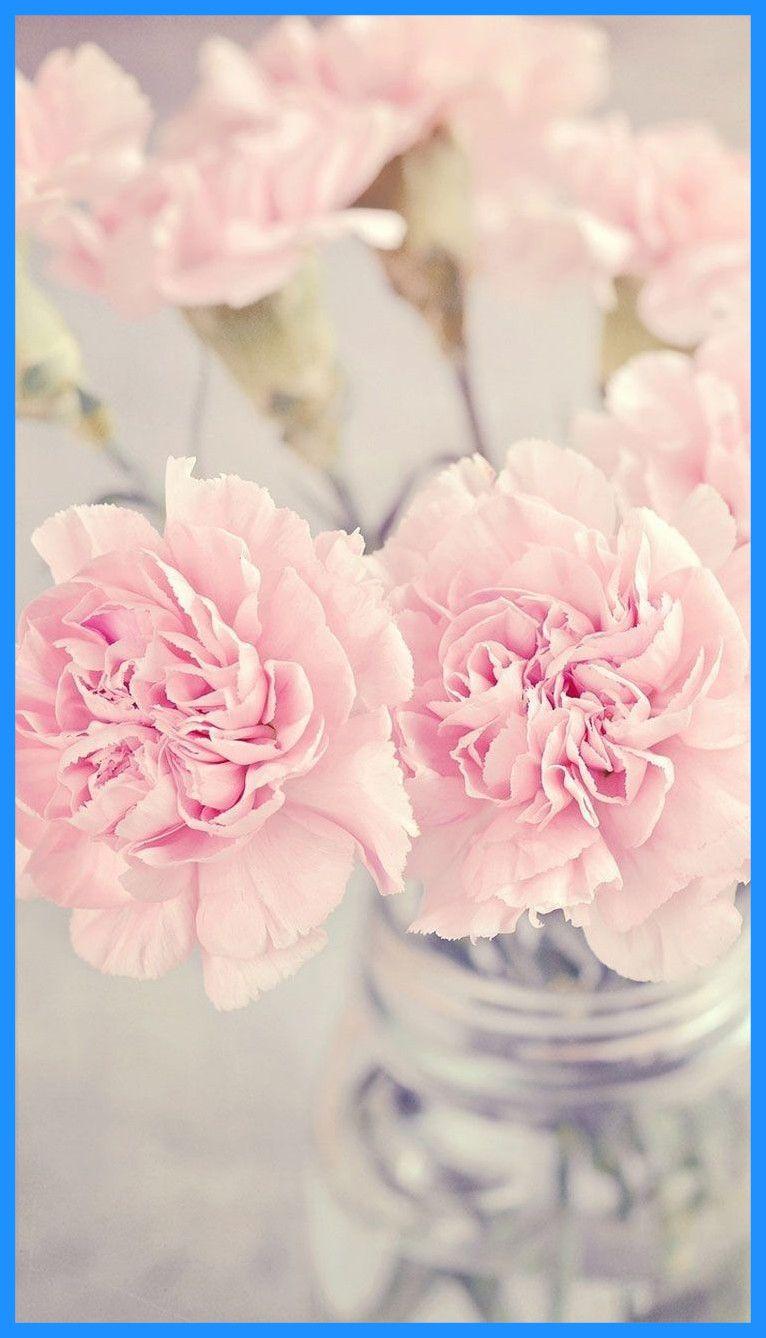 Blue Peony Flower Wallpapers Wallpaper Cave
